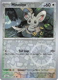 Minccino