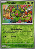 Maractus
