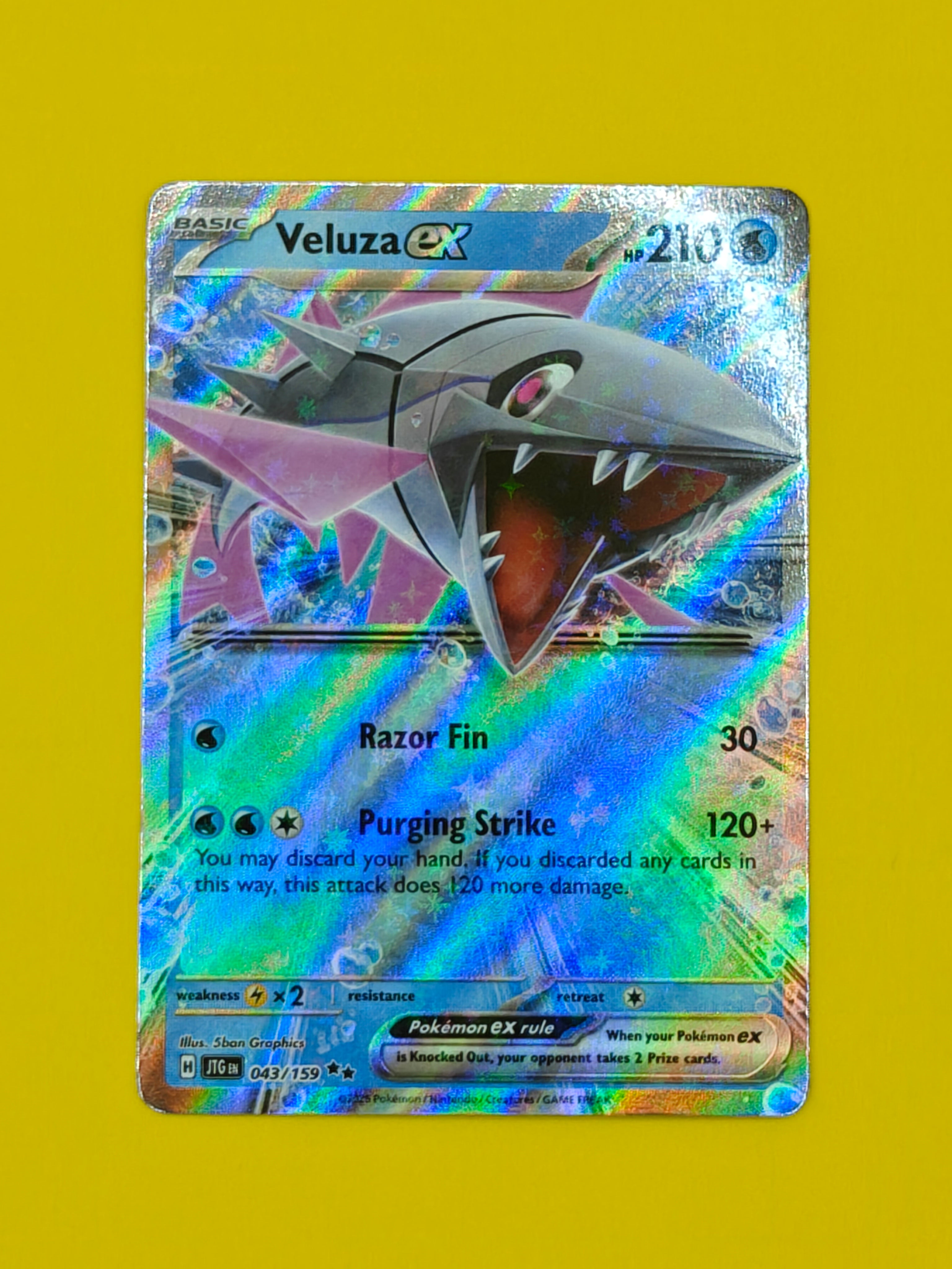 Veluza ex - Journey Together