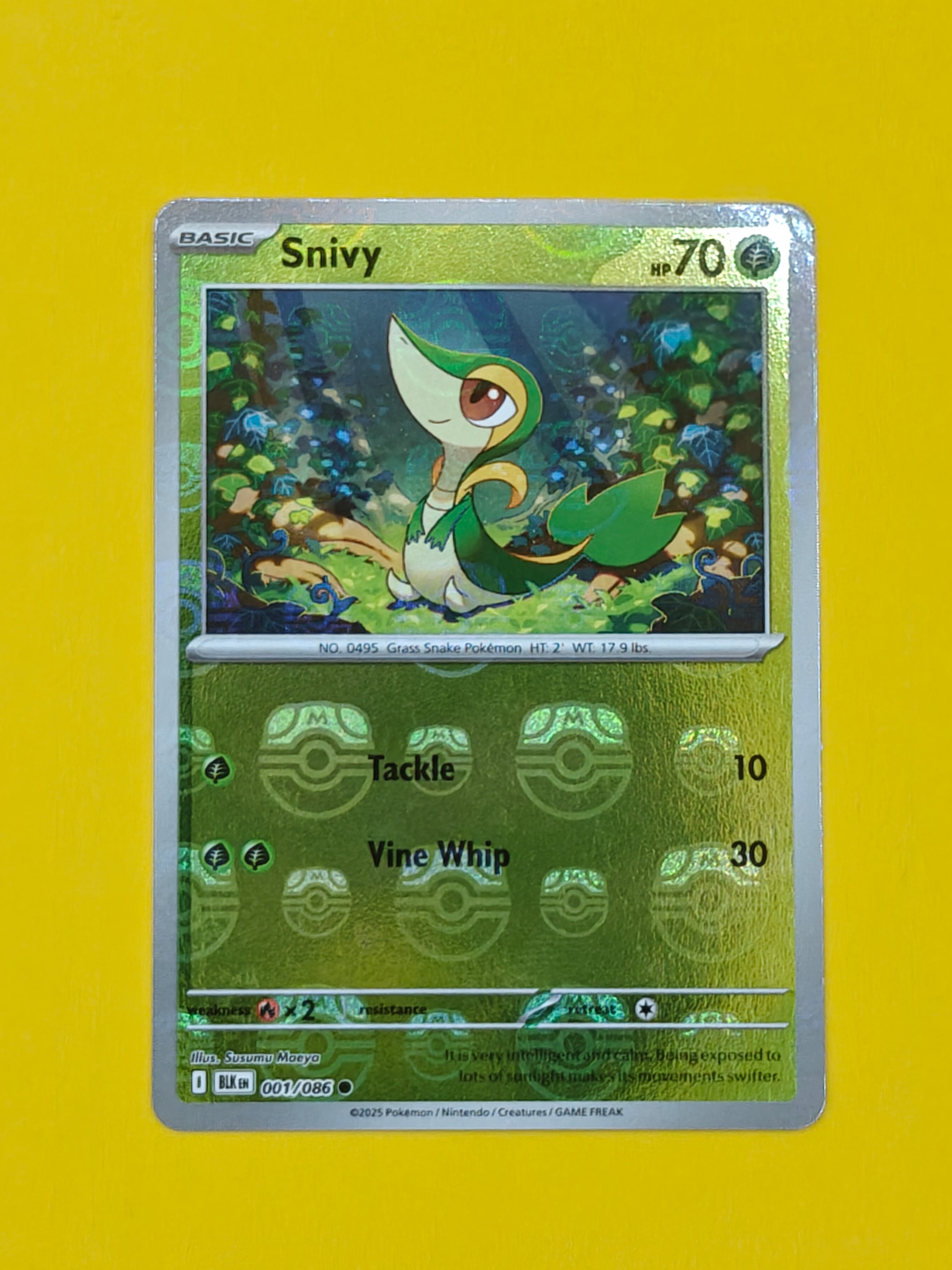Snivy Master Ball - Black Bolt