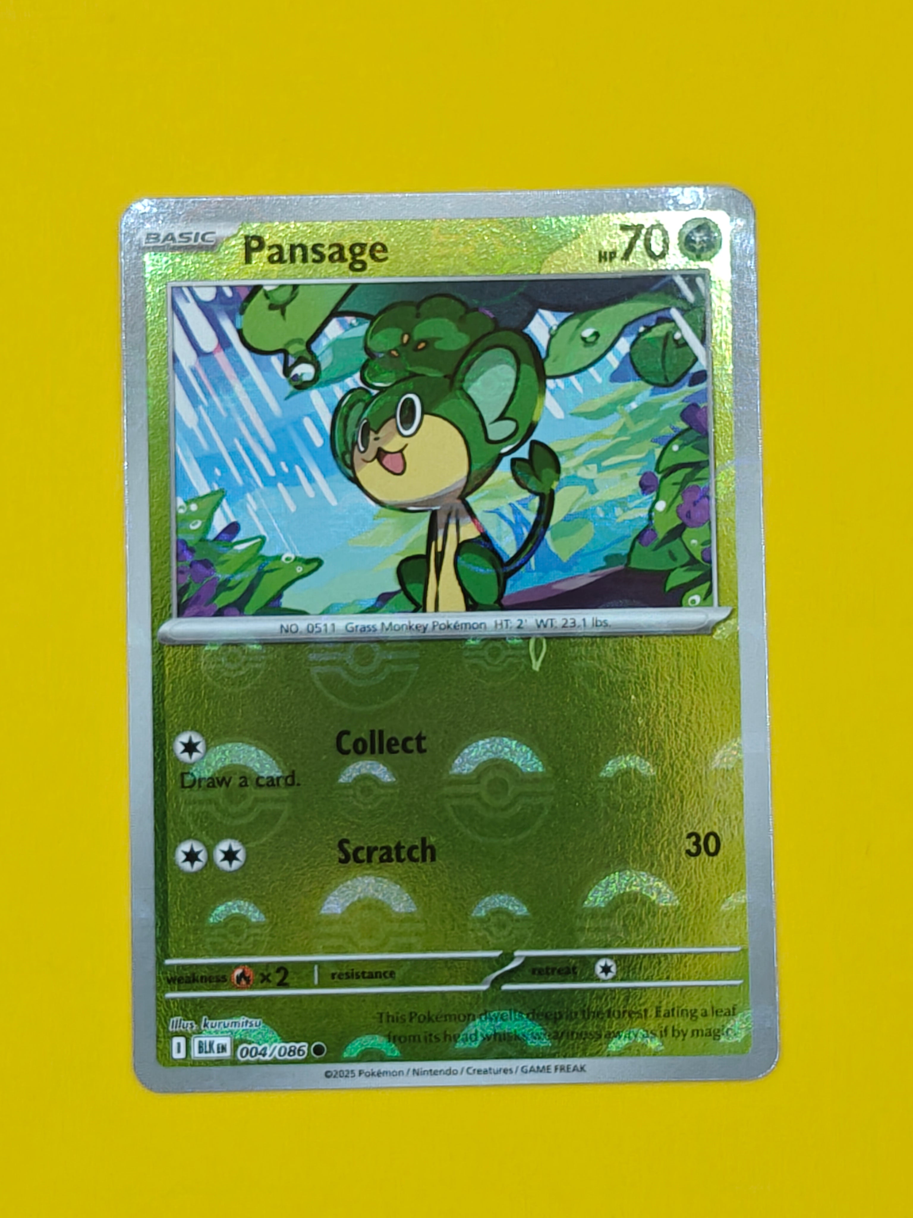 Pansage Poké Ball - Black Bolt