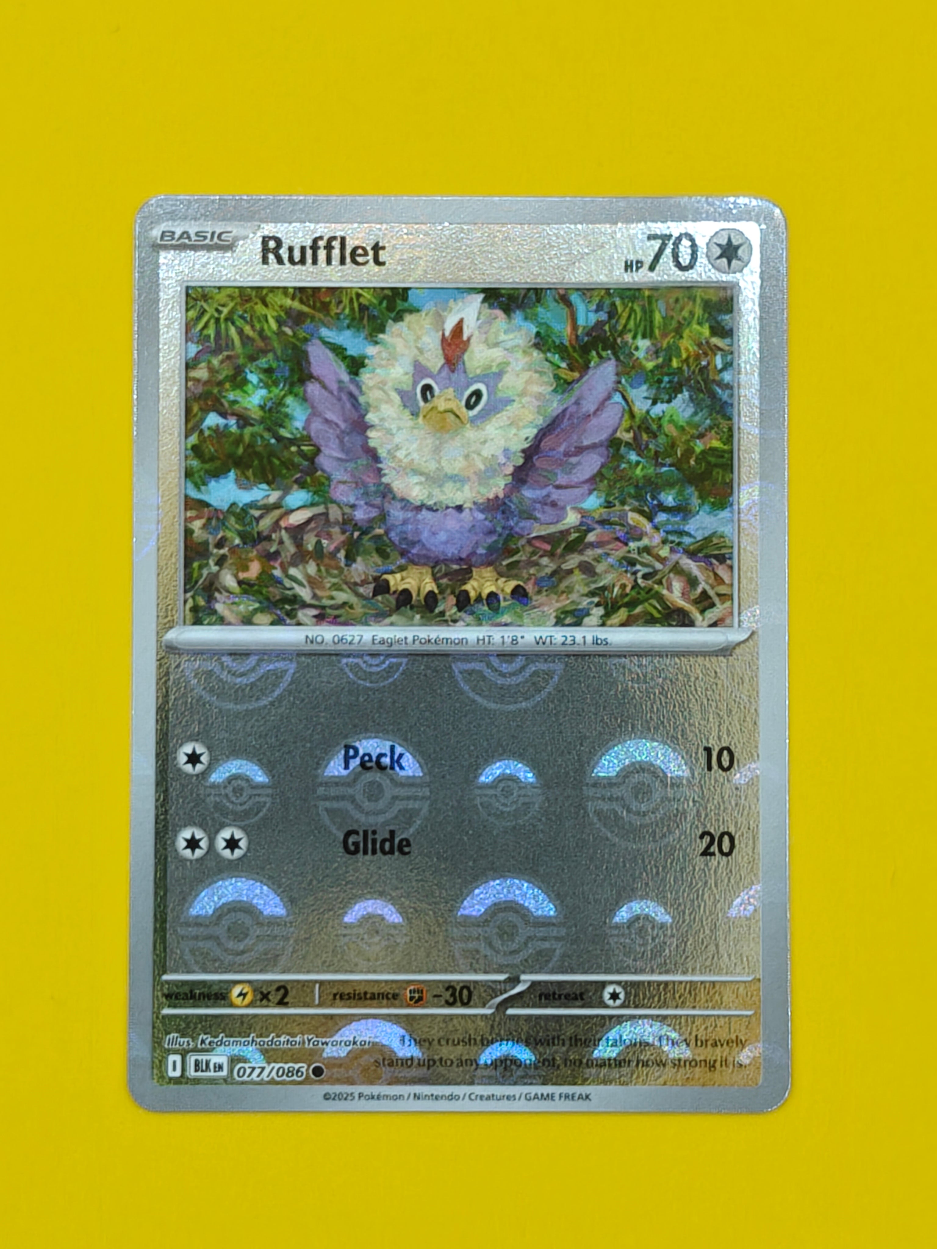 Rufflet Poké Ball - Black Bolt