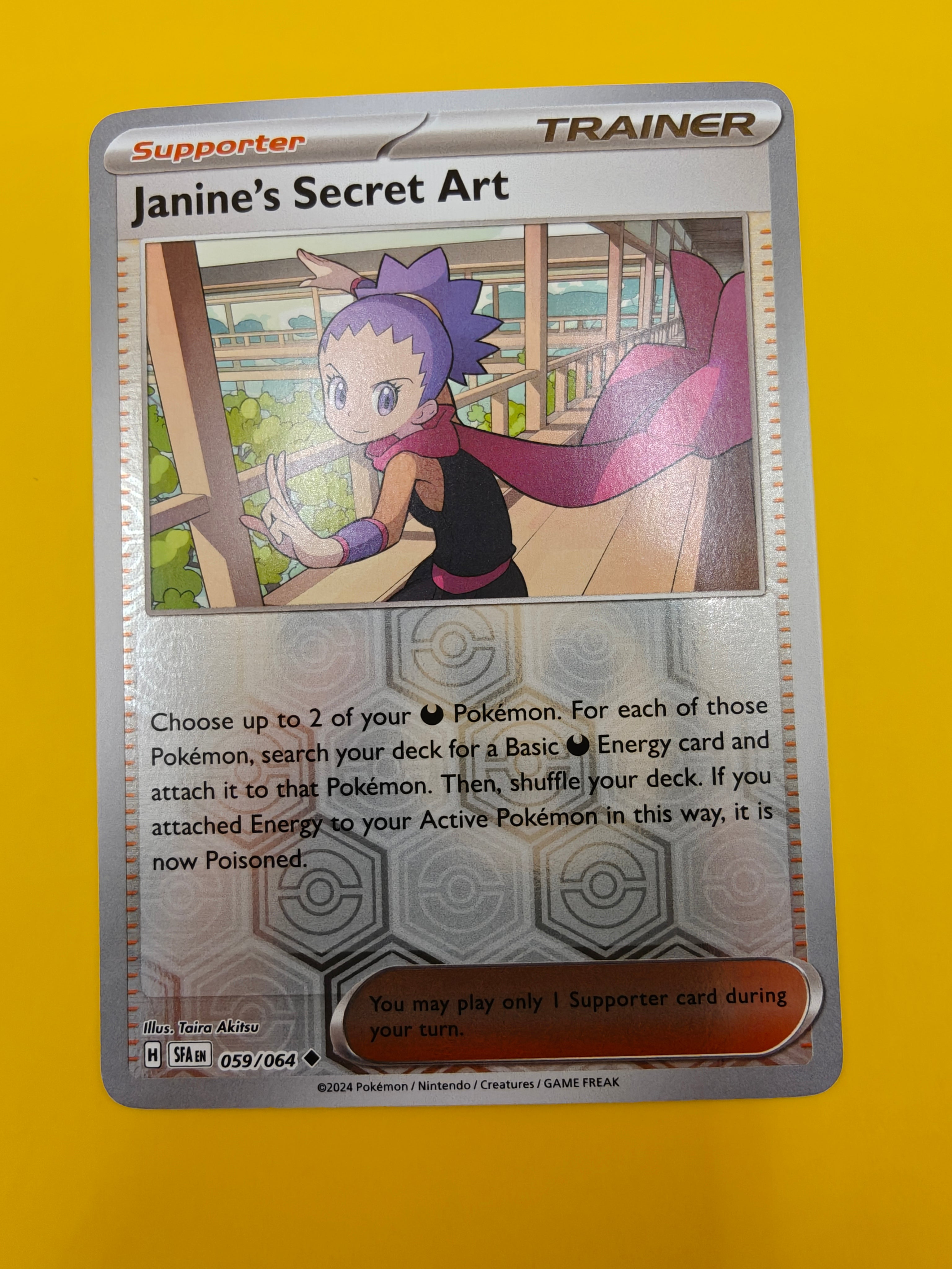 Janine's Secret Art Reverse Holo - Shrouded Fable