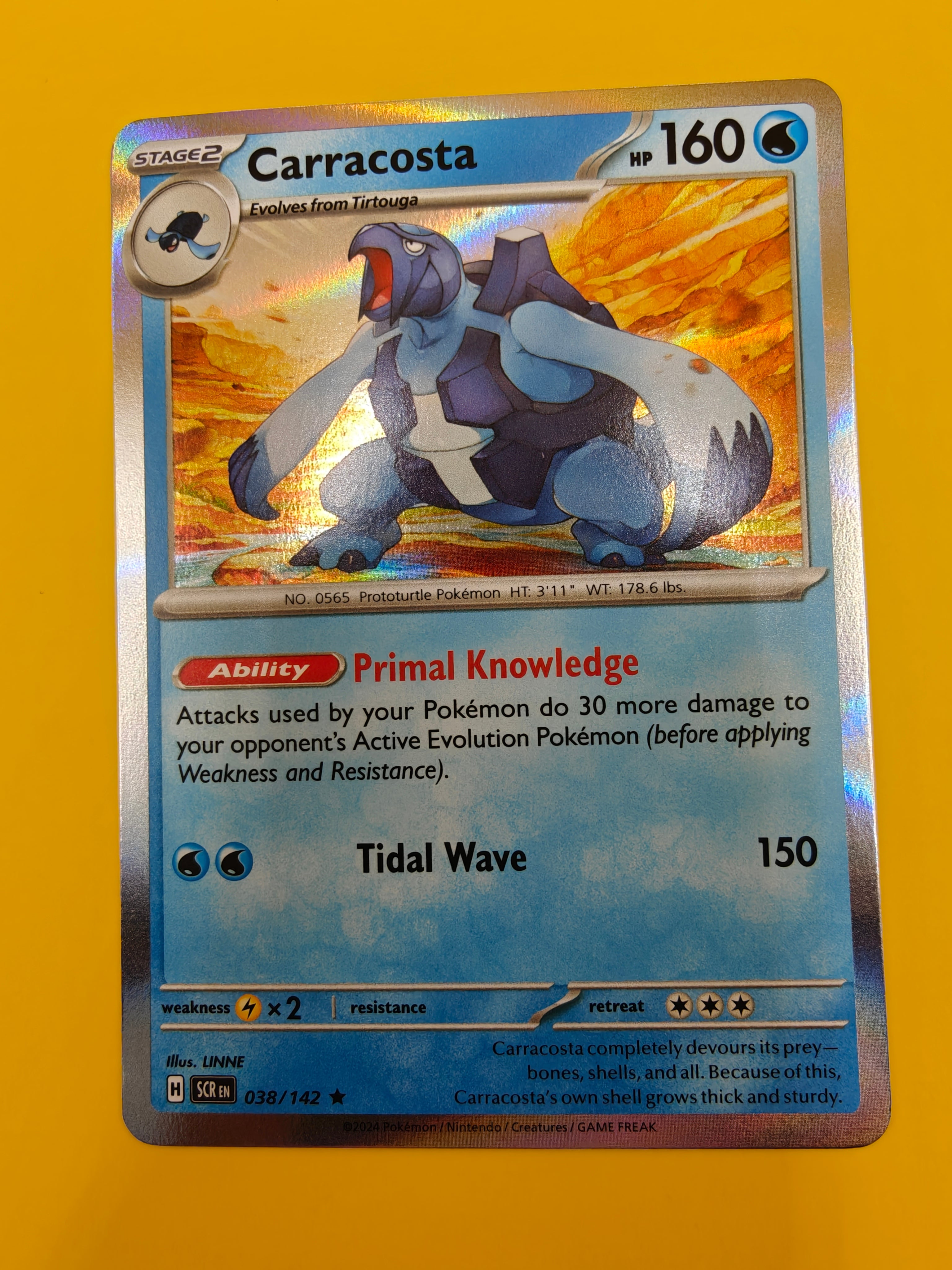 Carracosta Holo - Stellar Crown