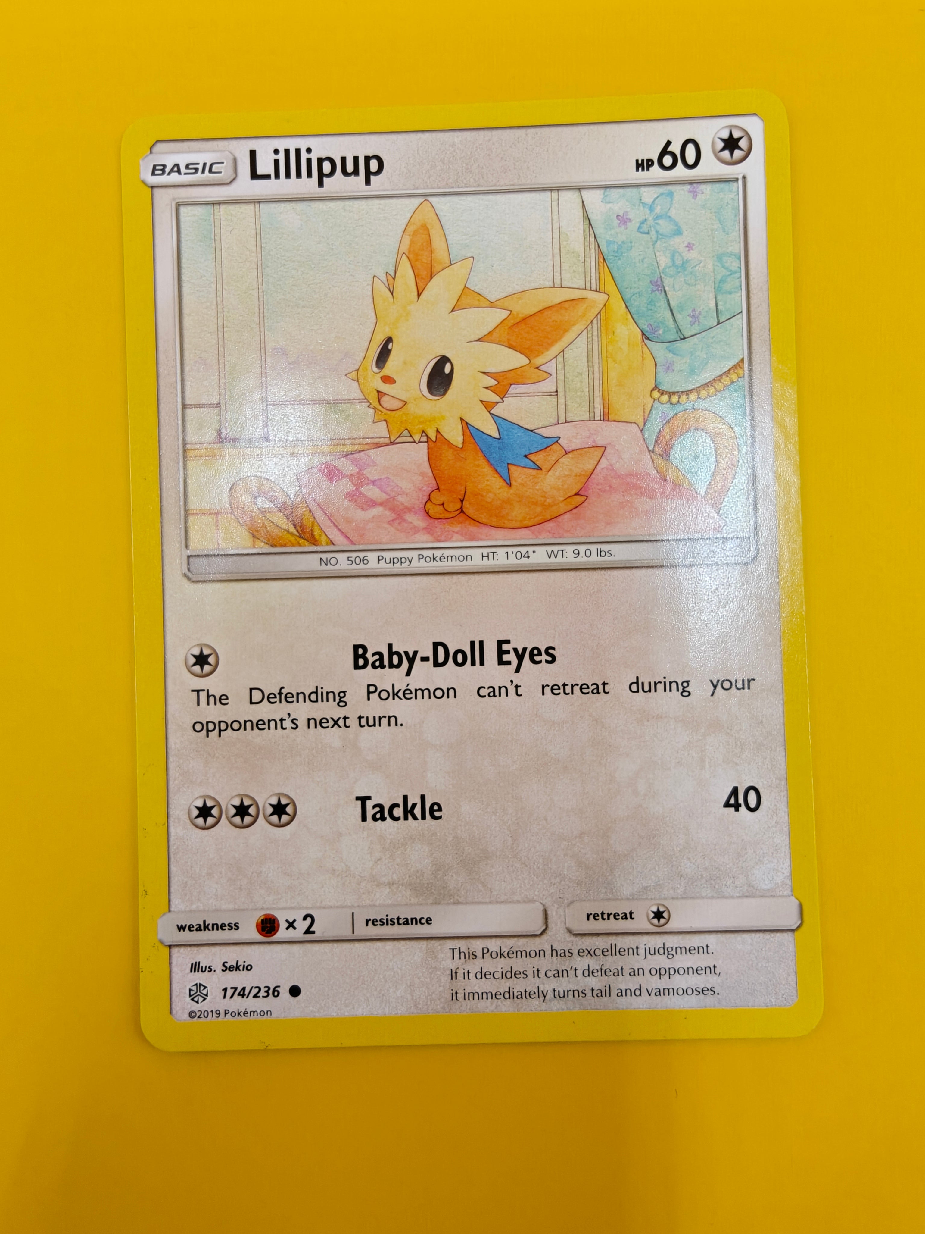 Lillipup - Cosmic Eclipse