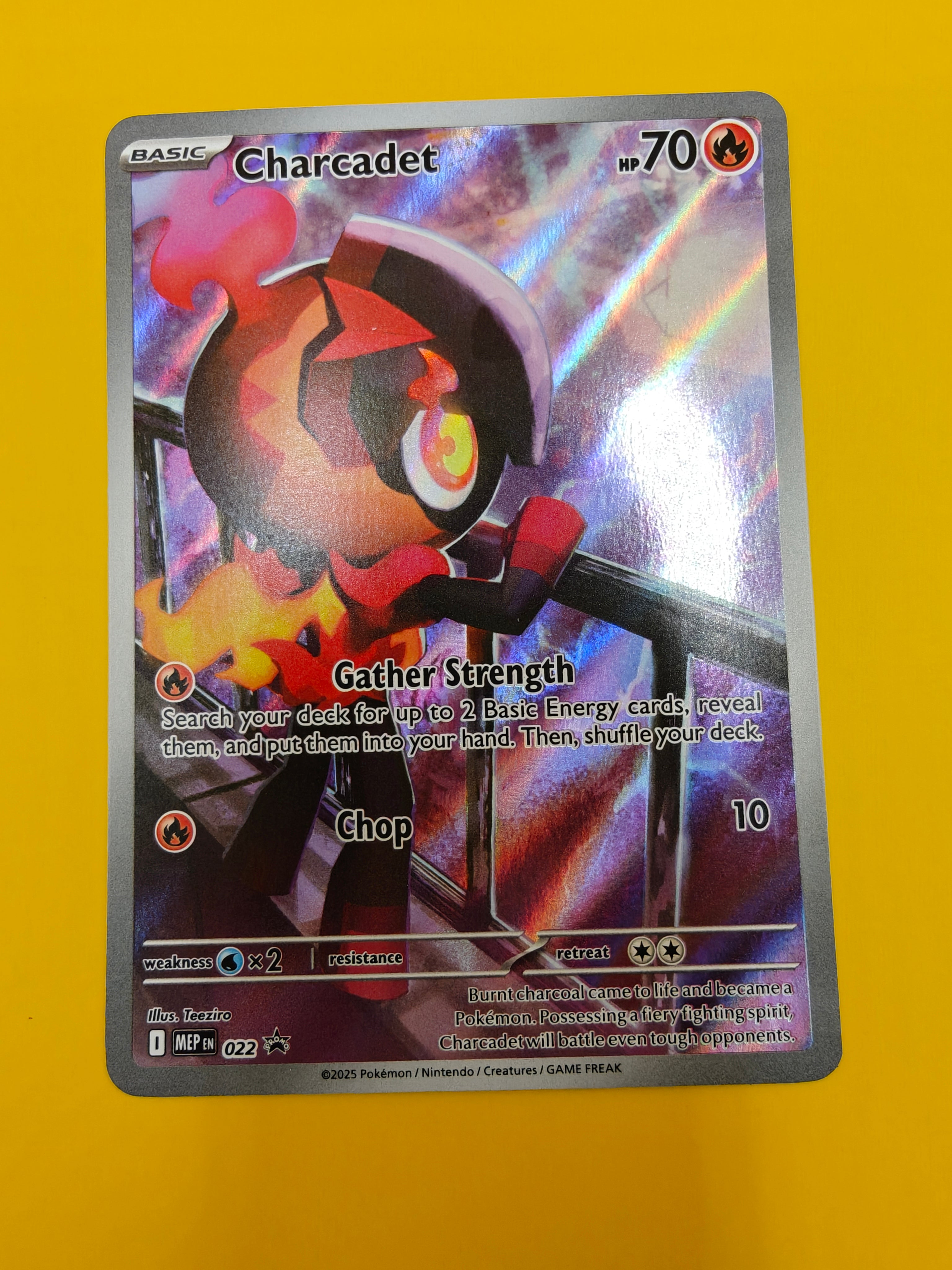 Charcadet IR - MEP022