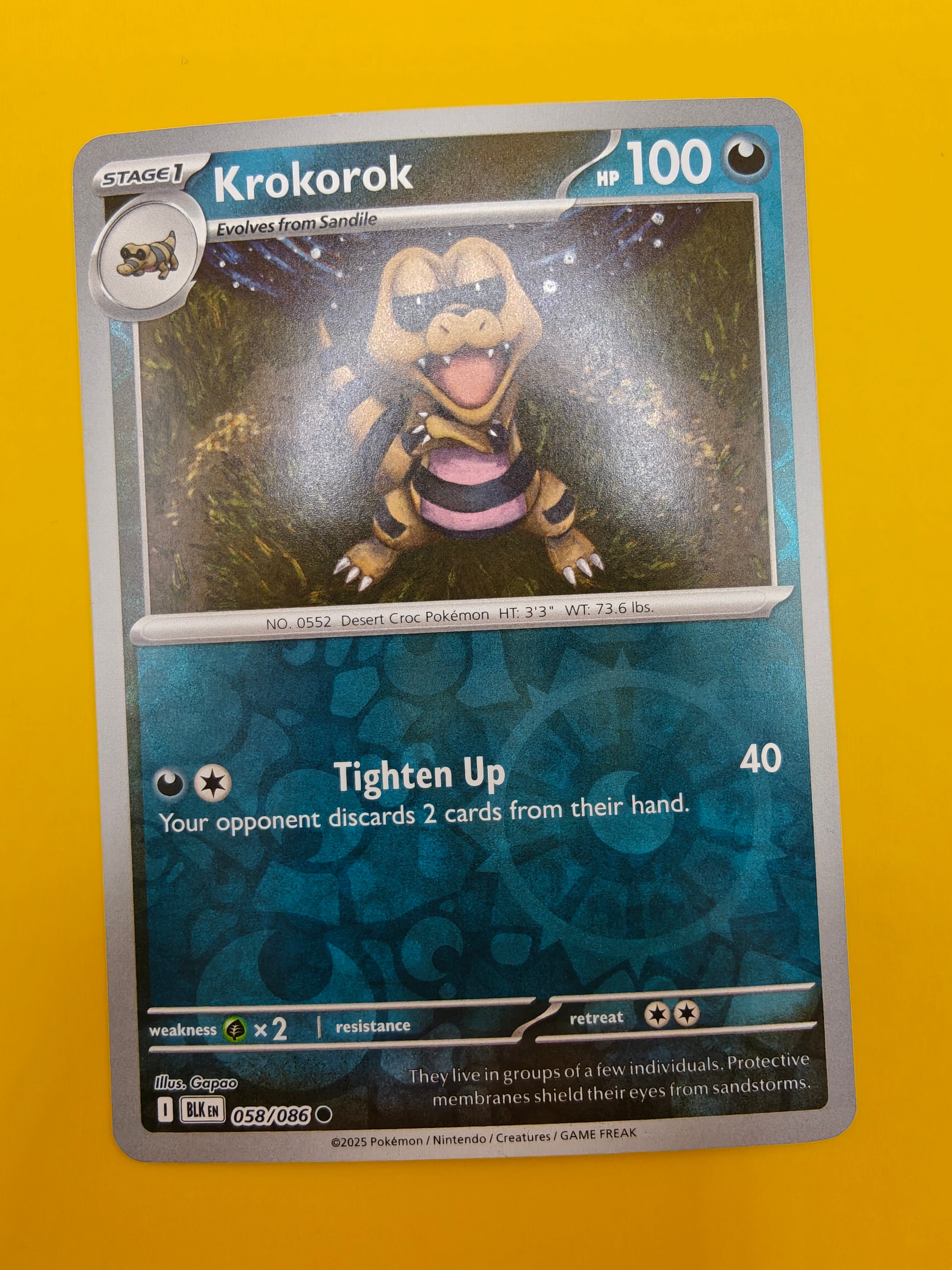 Krokorok Reverse Holo - Black Bolt