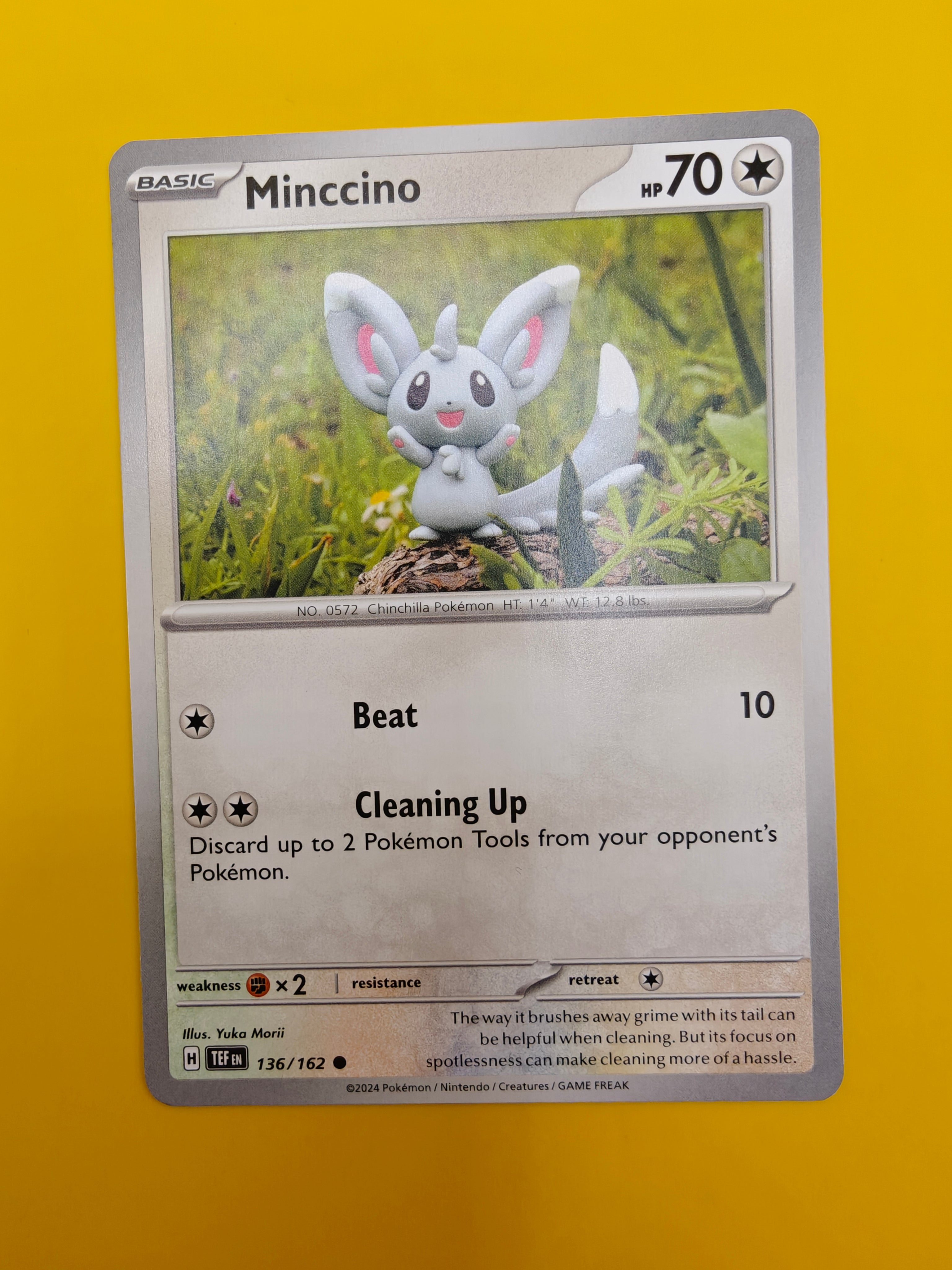 Minccino - Temporal Forces
