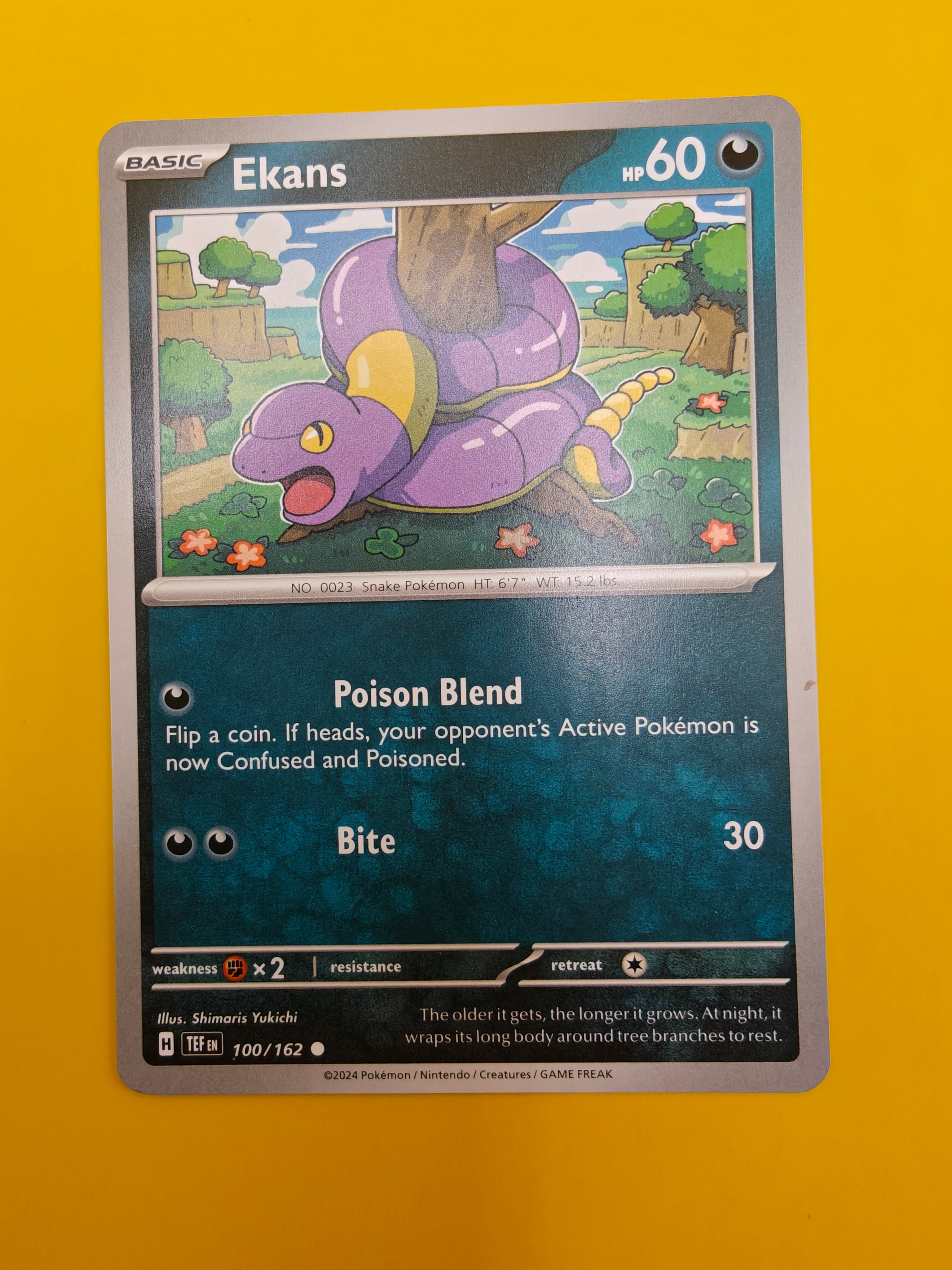 Ekans - Temporal Forces