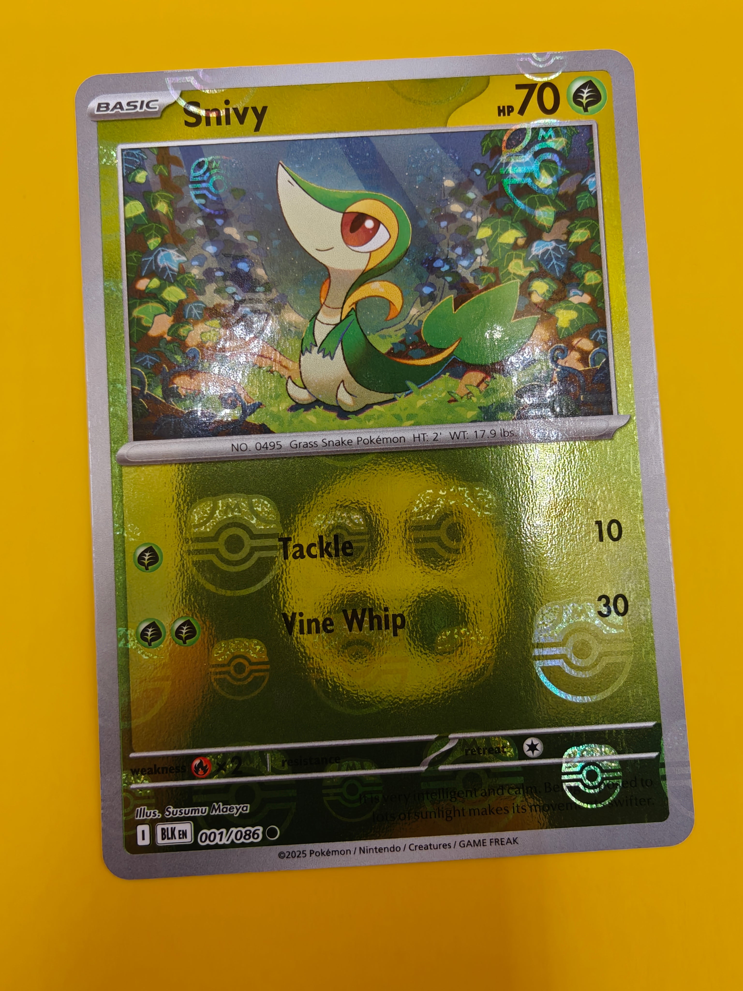 Snivy Master Ball - Black Bolt