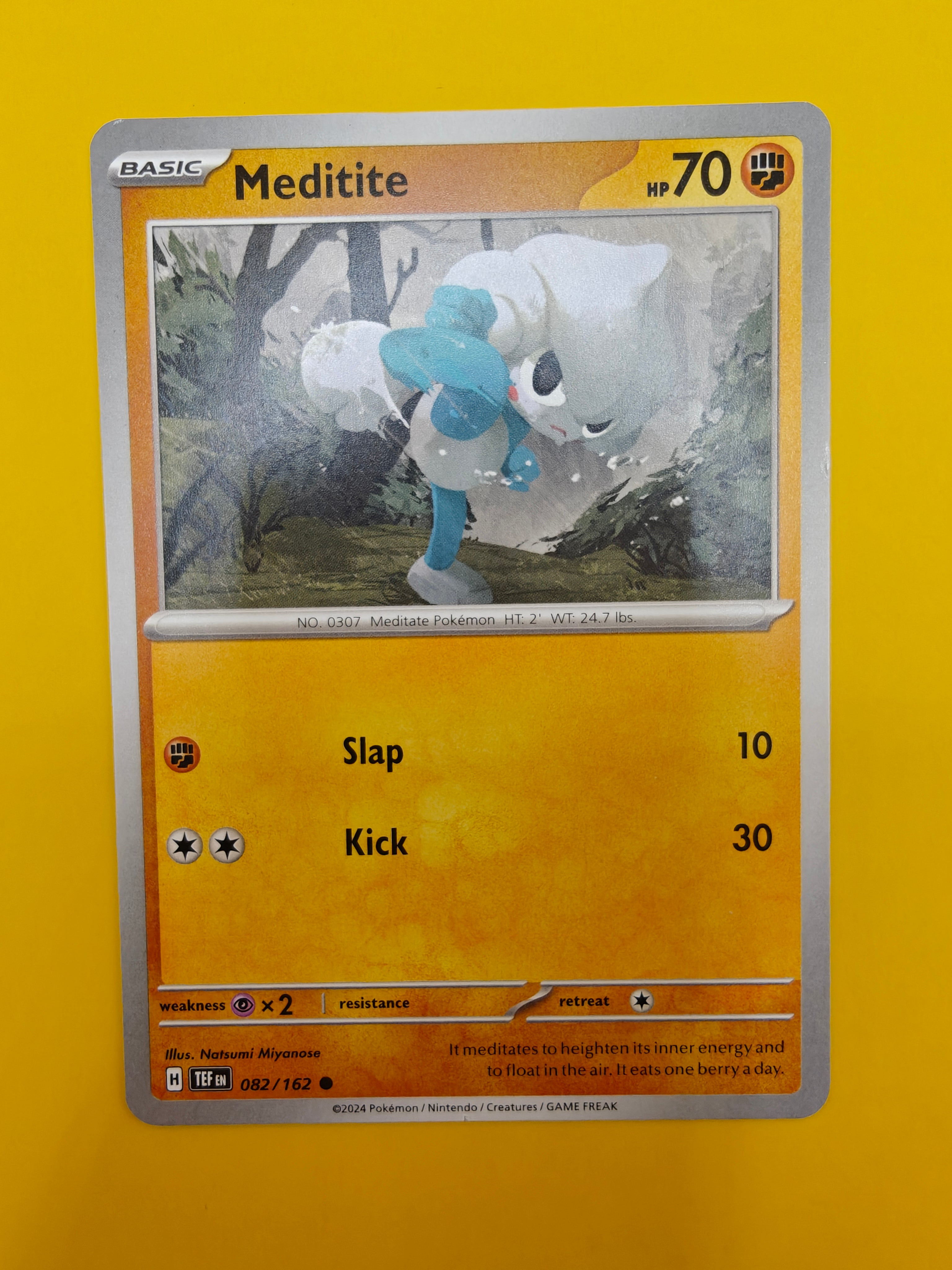 Meditite - Temporal Forces