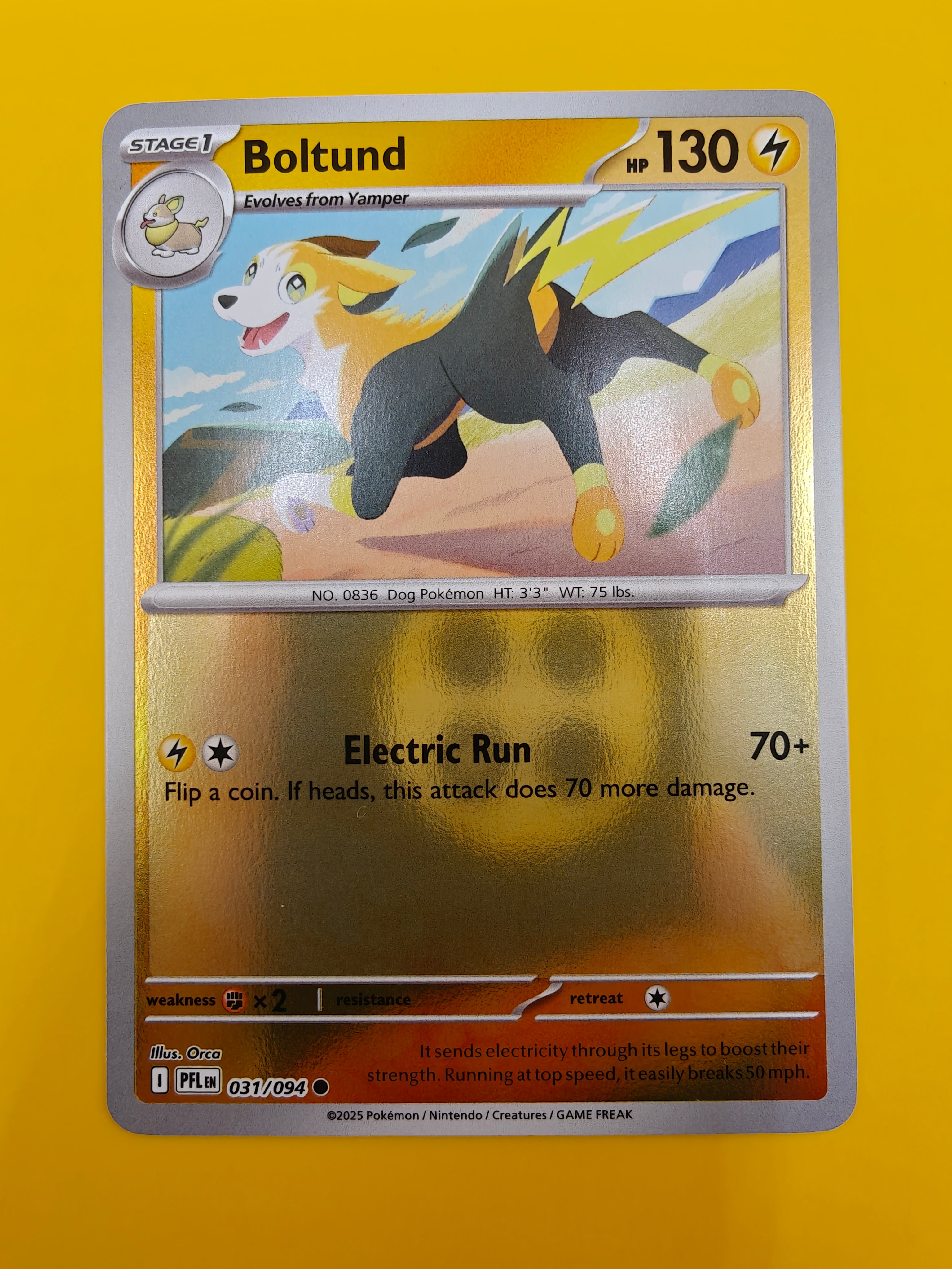 Boltund Reverse Holo - Phantasmal Flames