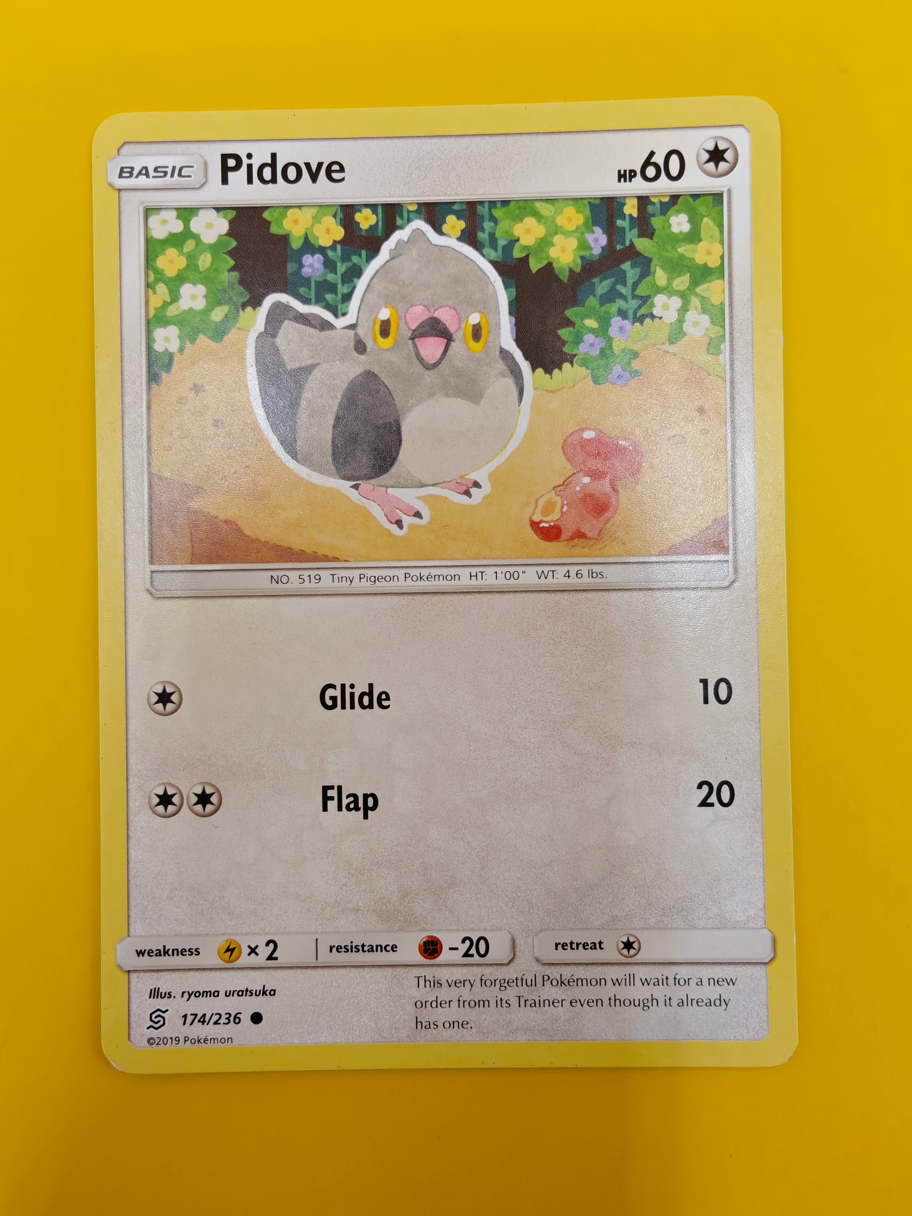 Pidove - Unified Minds