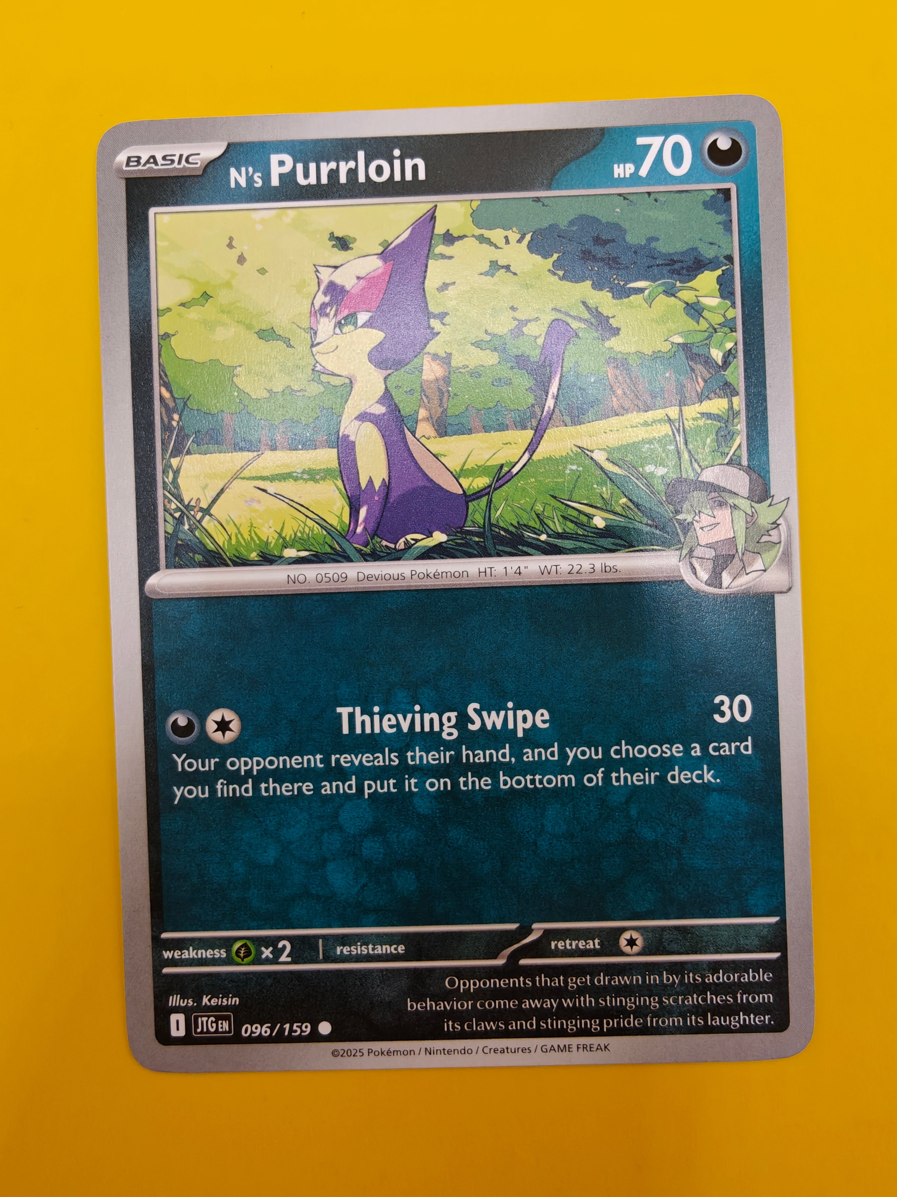 N's Purrloin - Journey Together