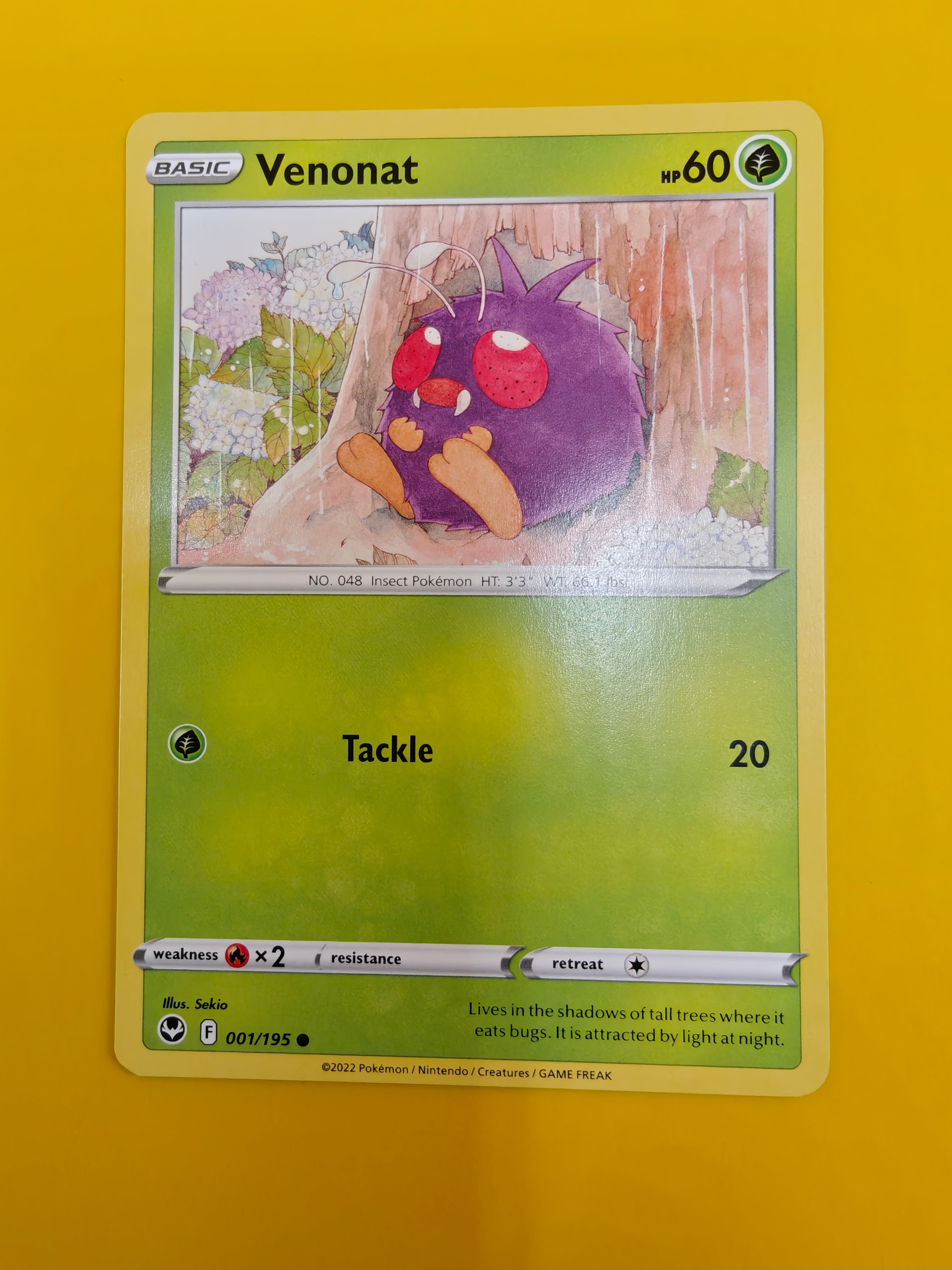 Venonat - Silver Tempest