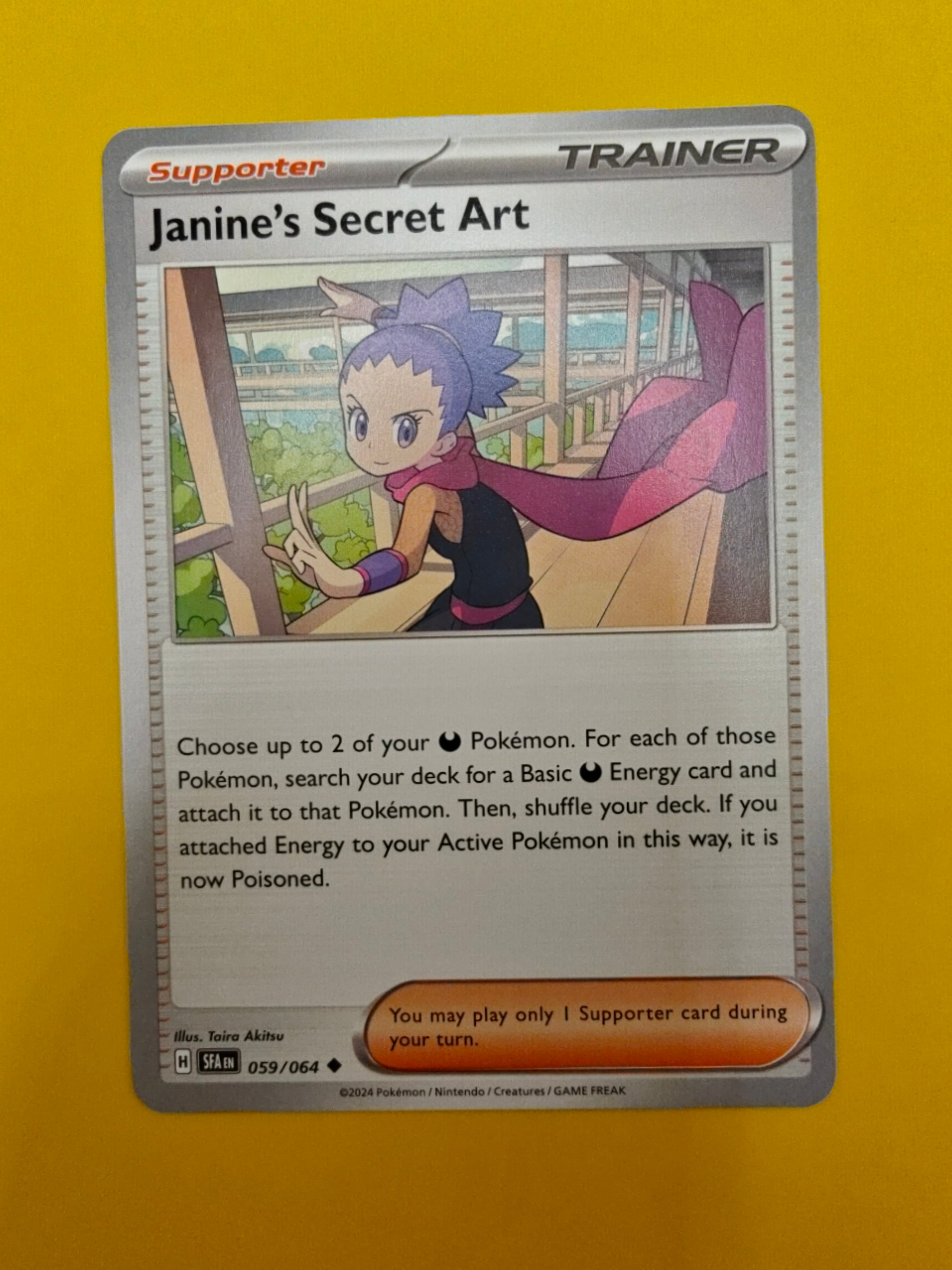Janine's Secret Art - Shrouded Fable
