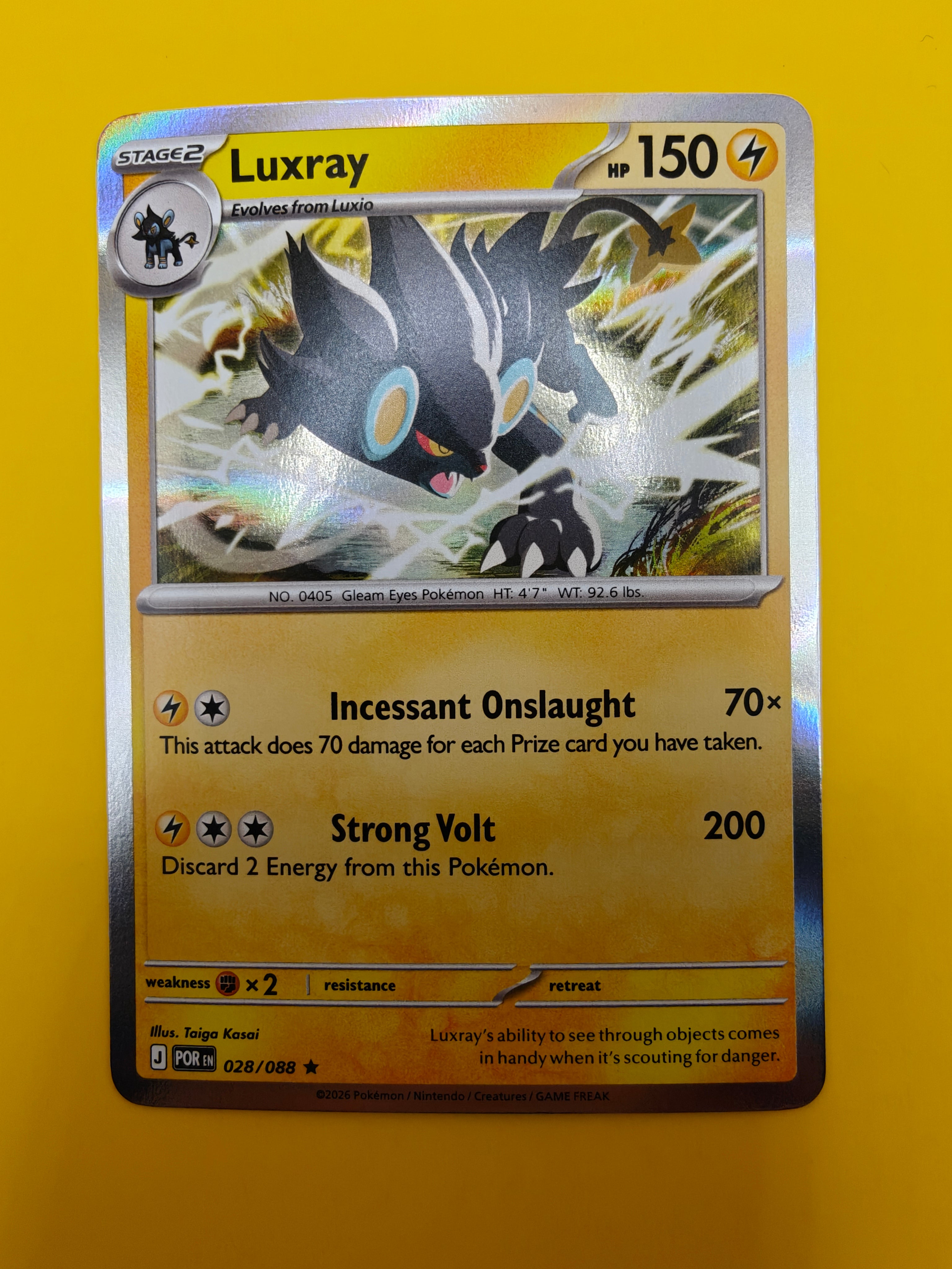 Luxray Holo - Perfect Order