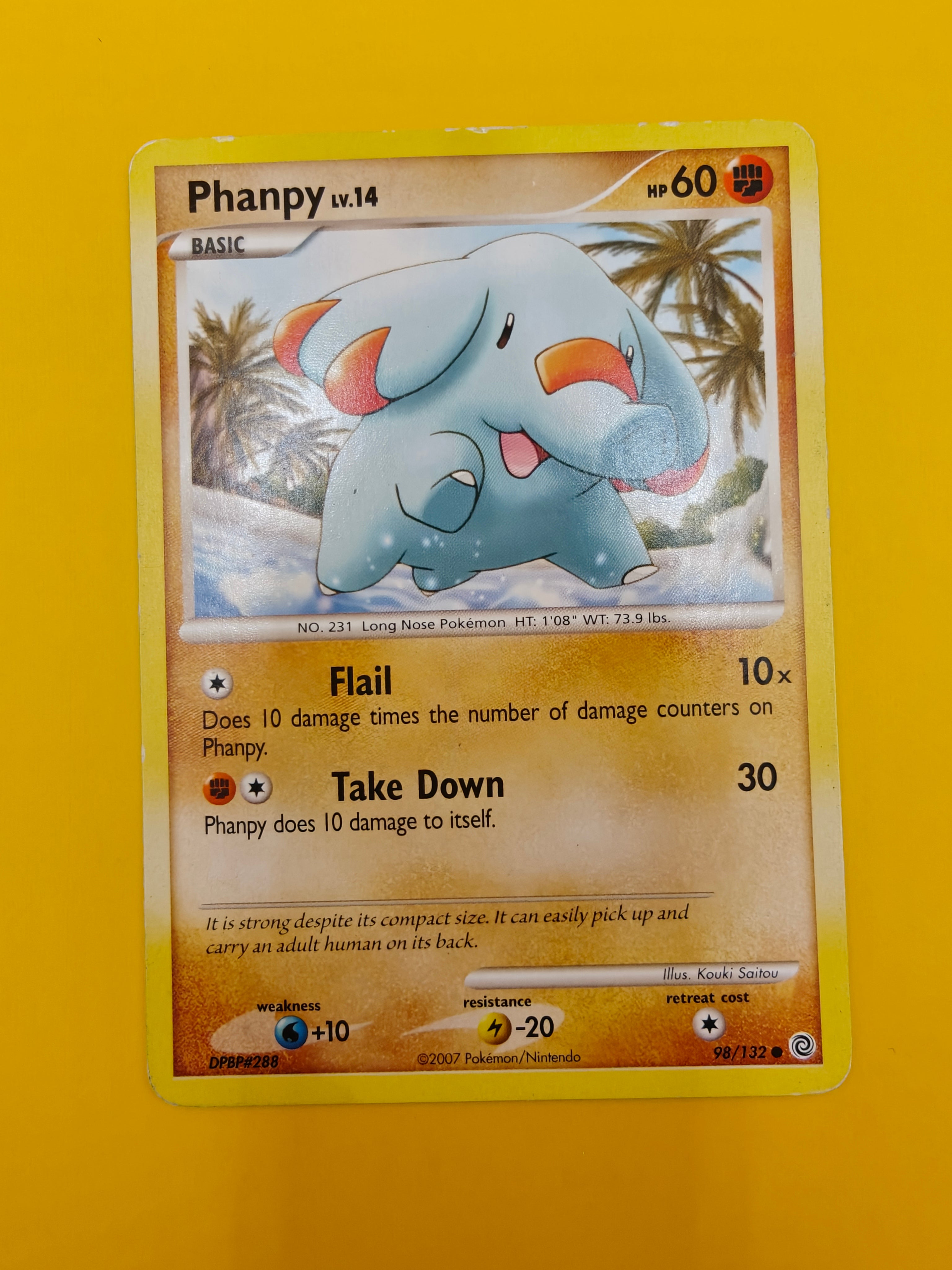 Phanpy Lv.14 - Secret Wonders