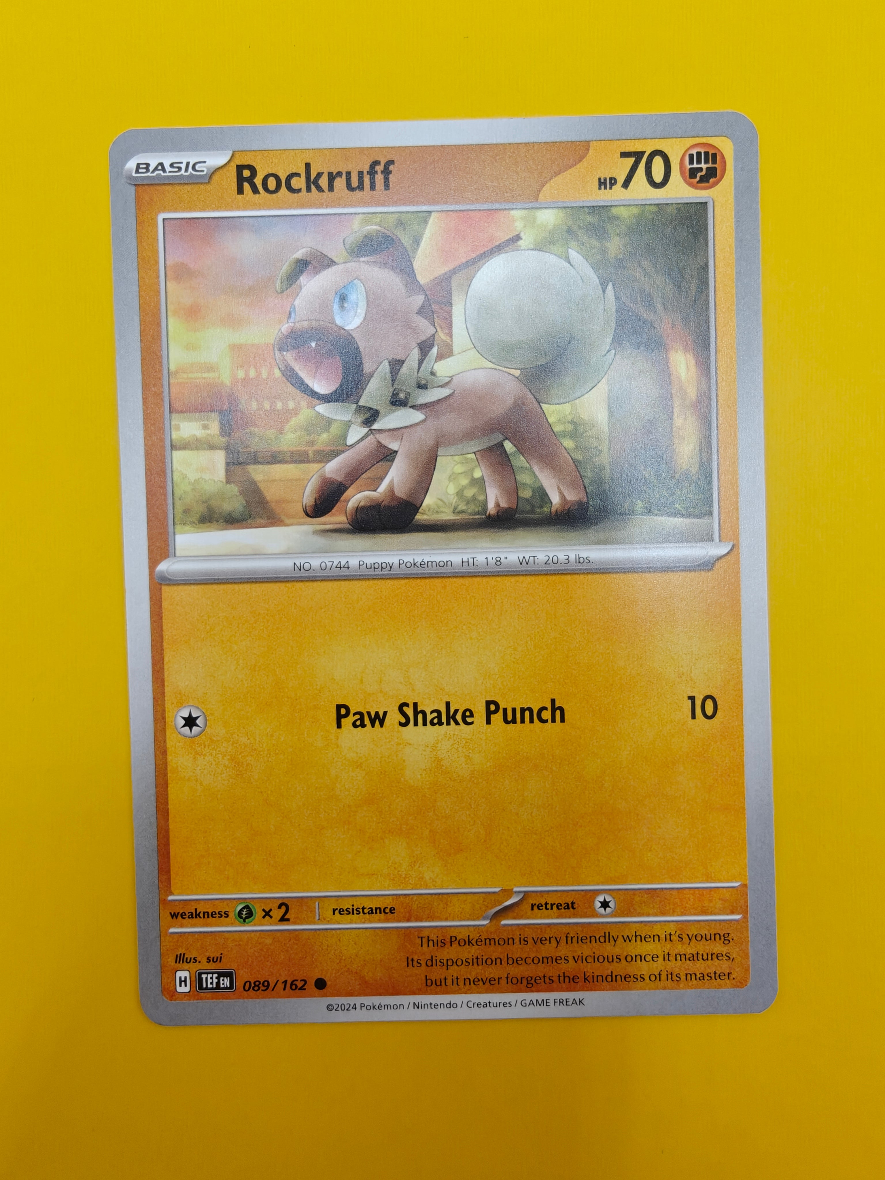 Rockruff - Temporal Forces