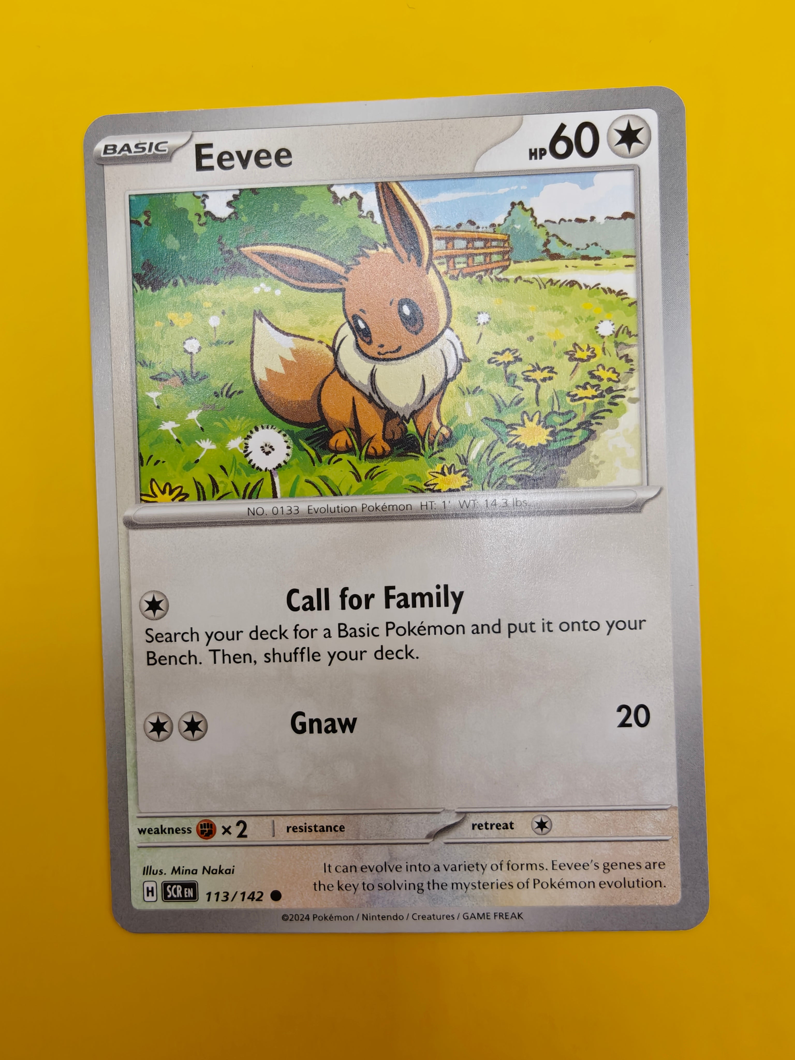 Eevee - Stellar Crown