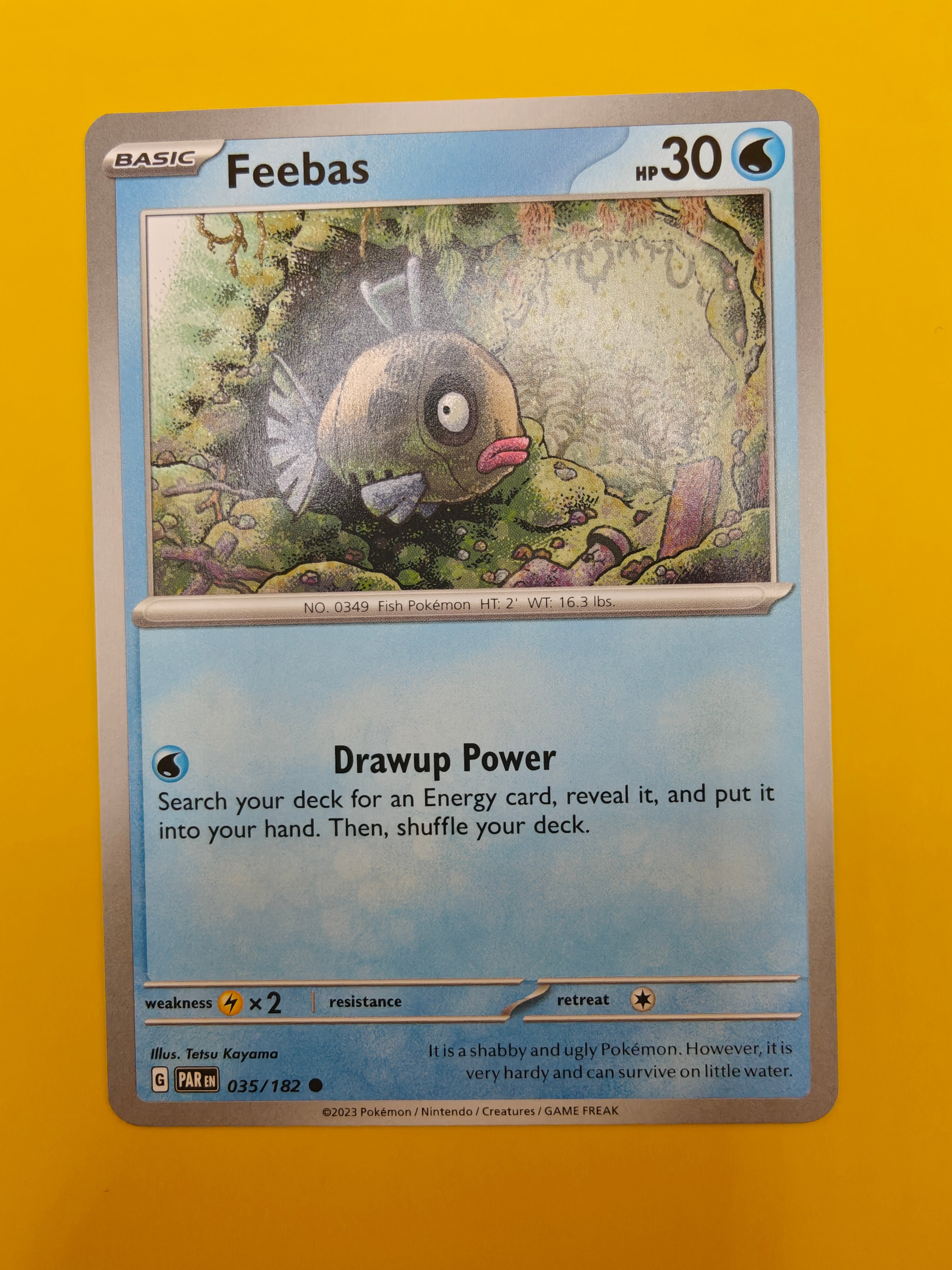 Feebas - Paradox Rift