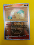 Numel Poké Ball - Ascended Heroes