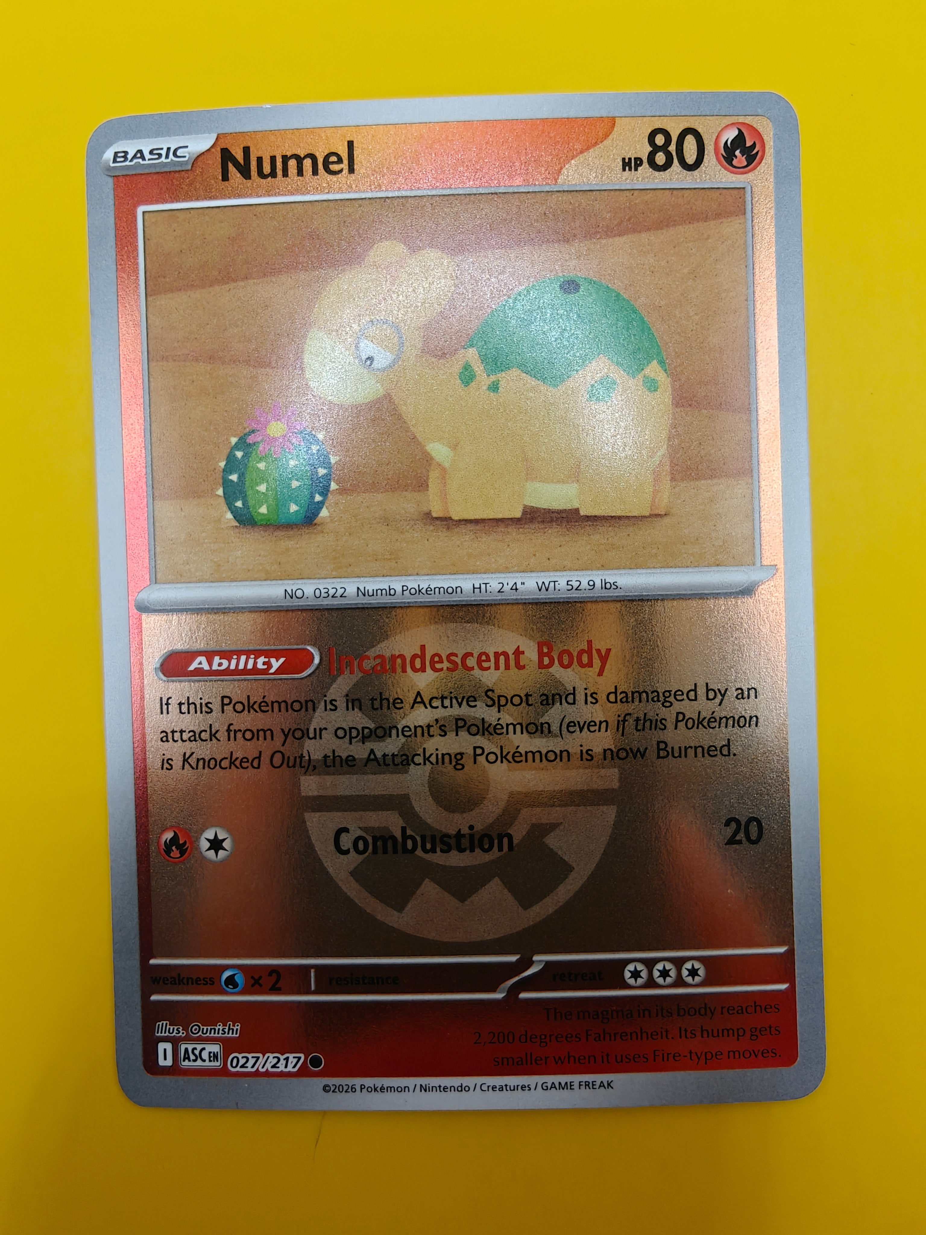 Numel Poké Ball - Ascended Heroes