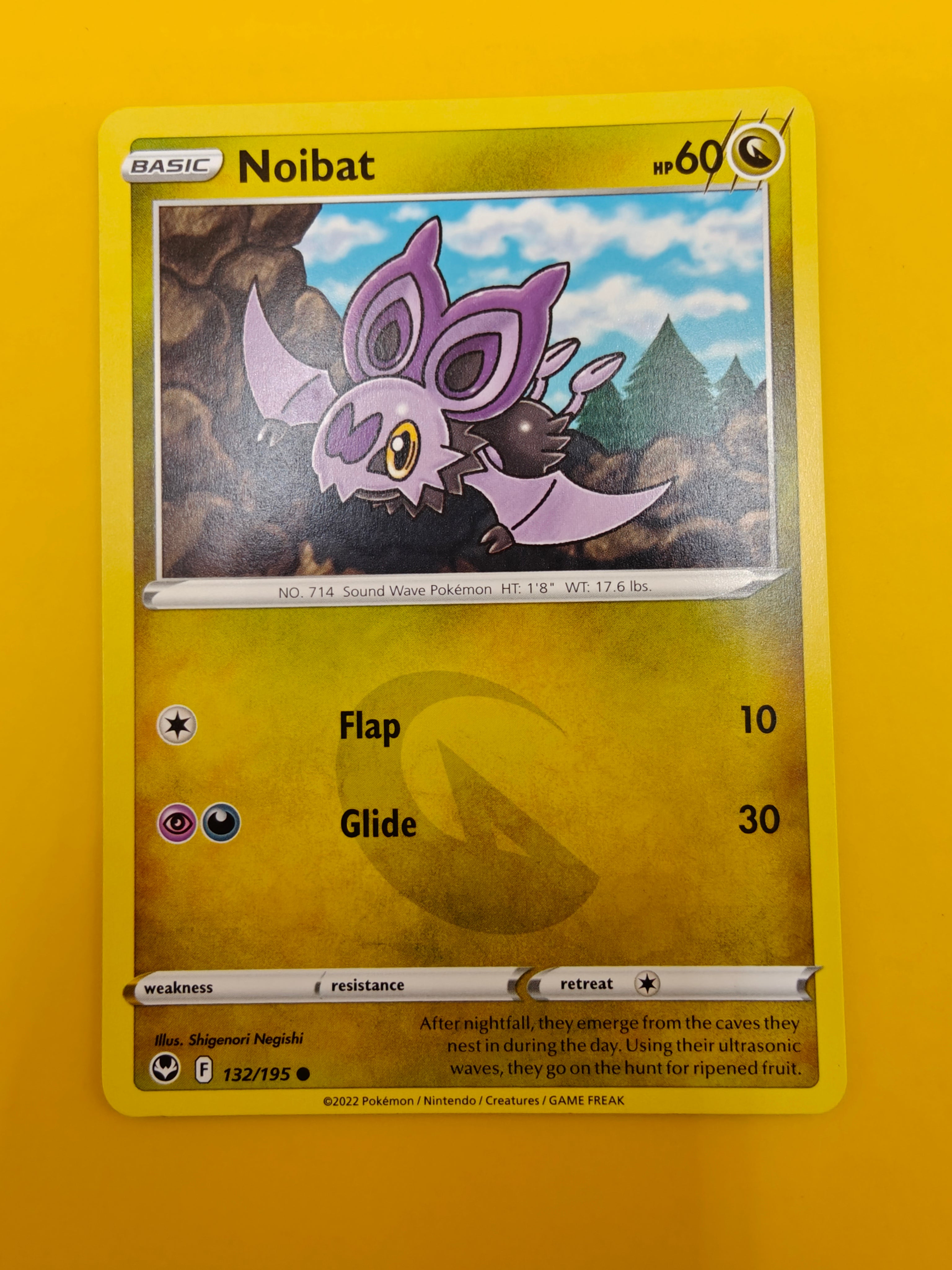 Noibat - Silver Tempest