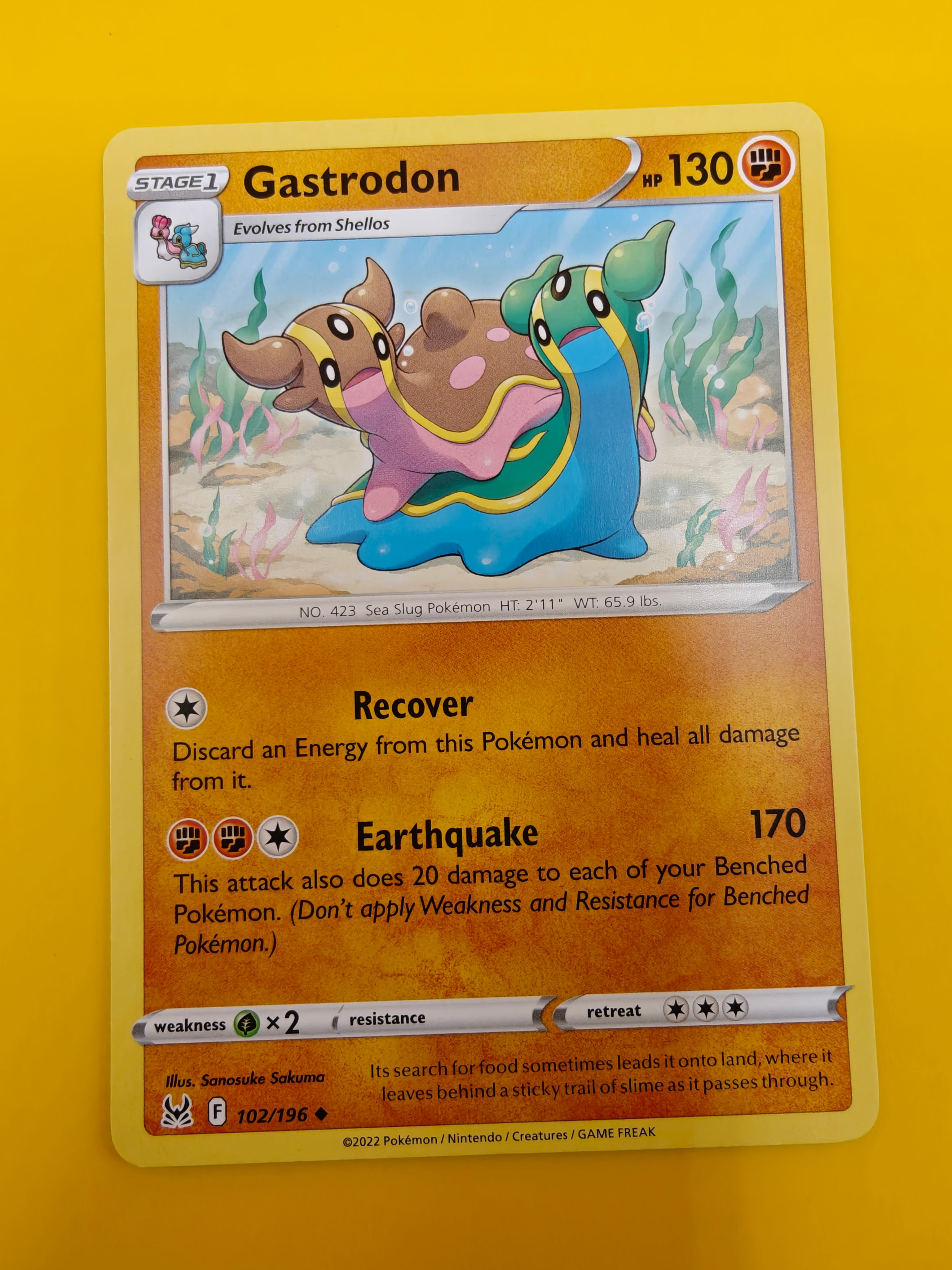 Gastrodon - Lost Origin