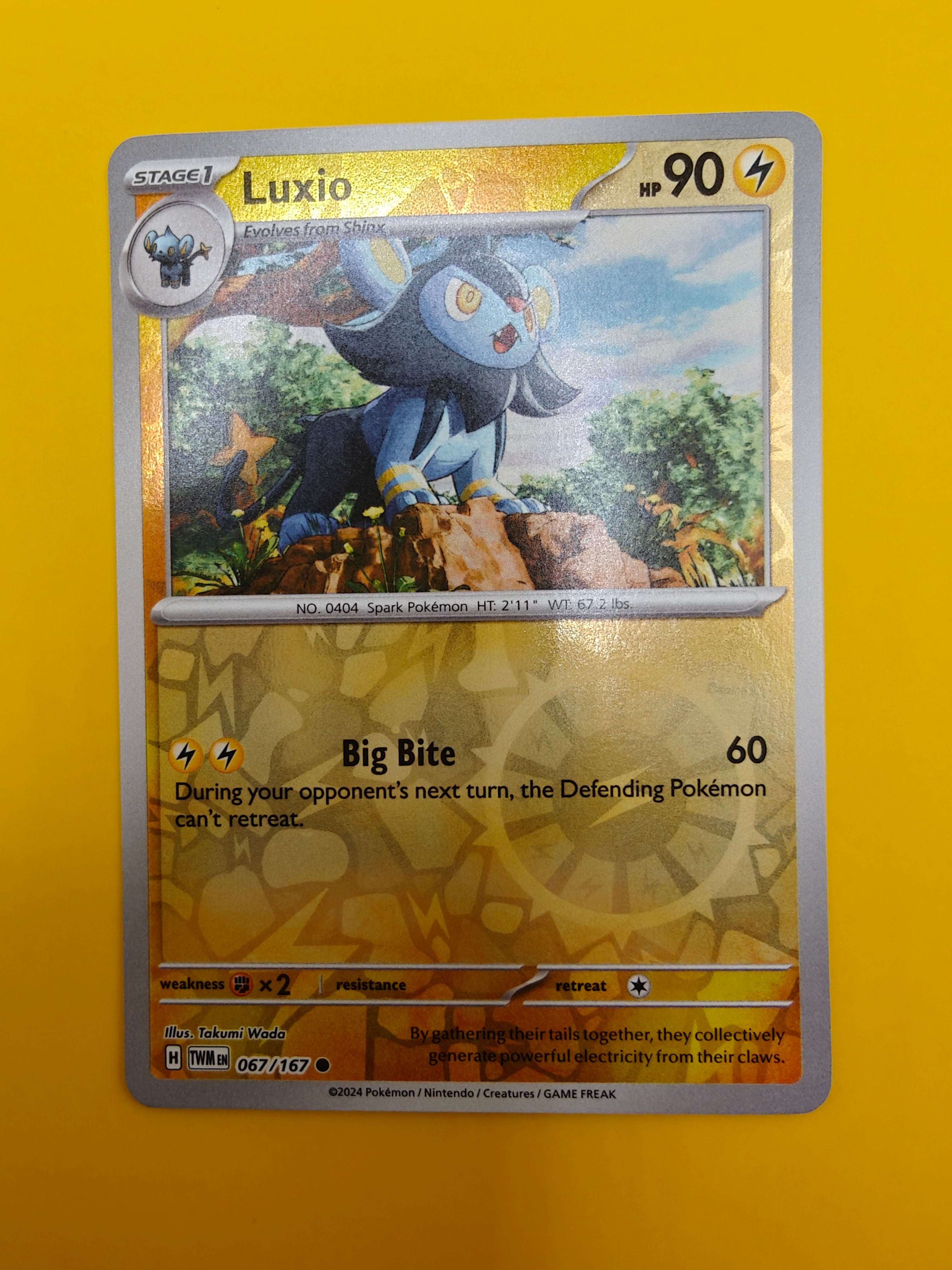 Luxio Reverse Holo - Twilight Masquerade