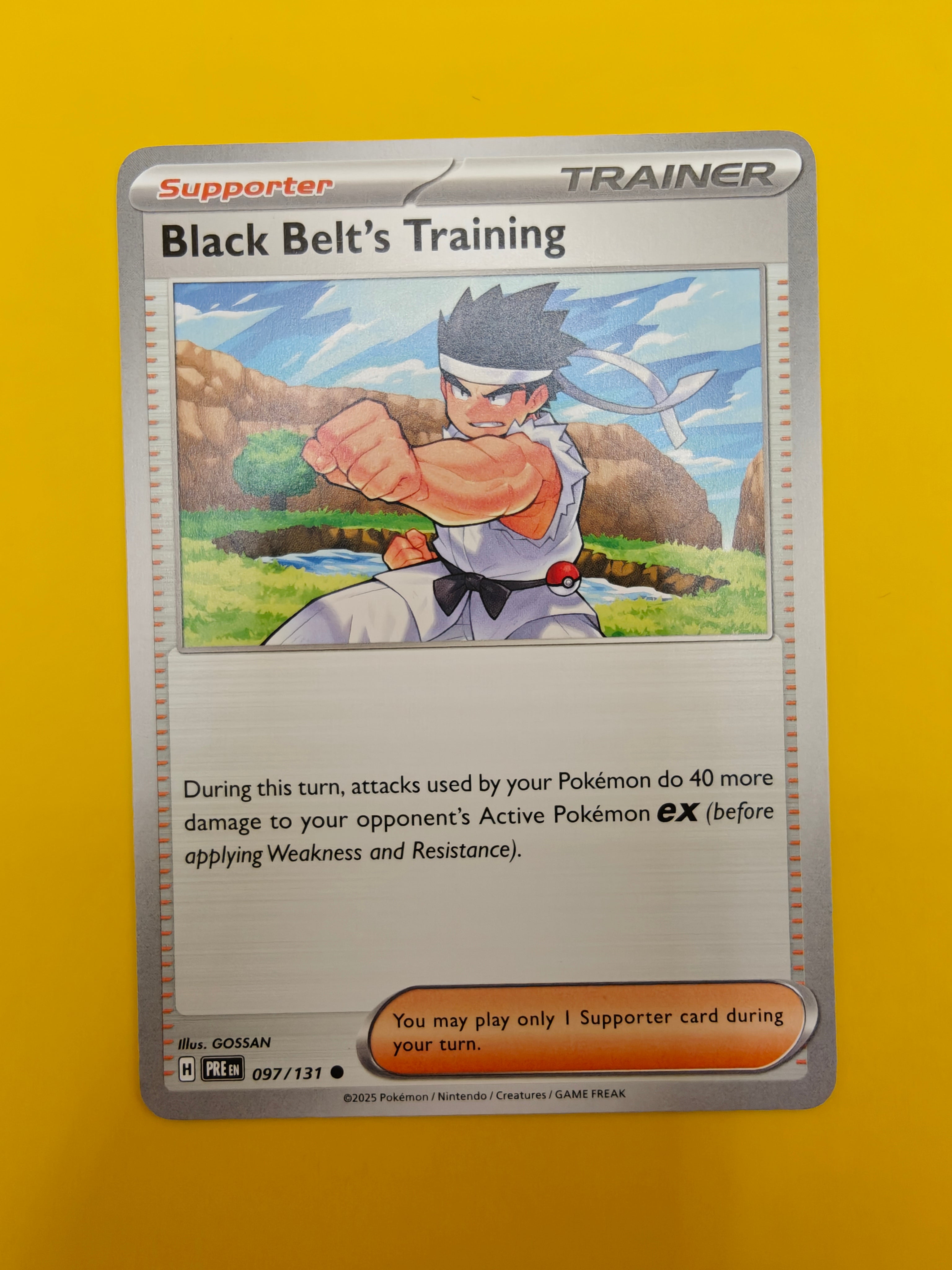 Black Belt's Training - Prismatic Evolutions