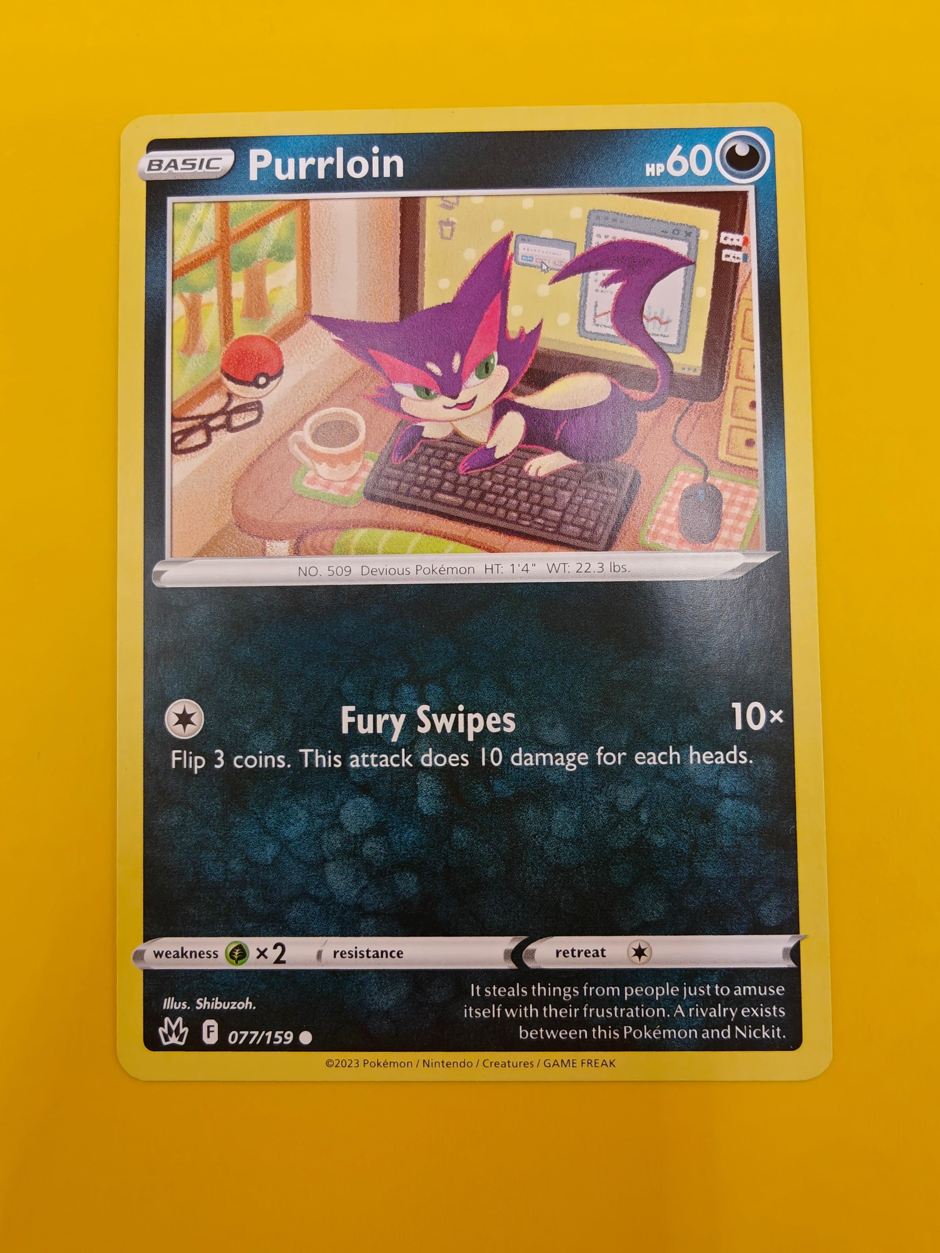 Purrloin - Crown Zenith