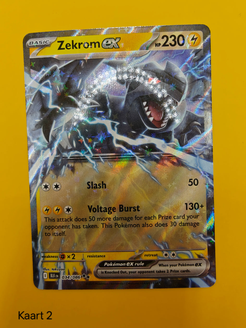 Zekrom ex - Black Bolt