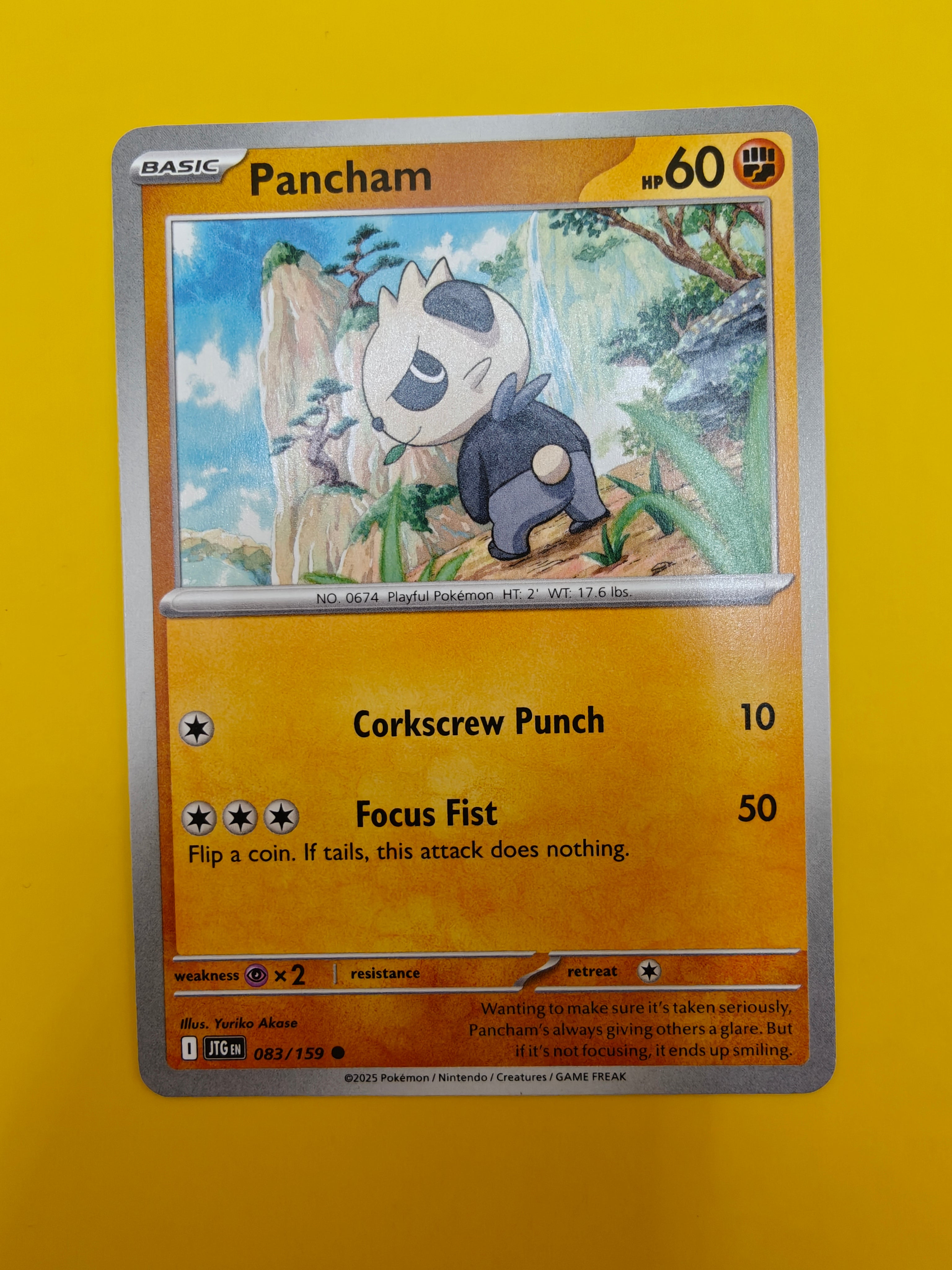 Pancham - Journey Together