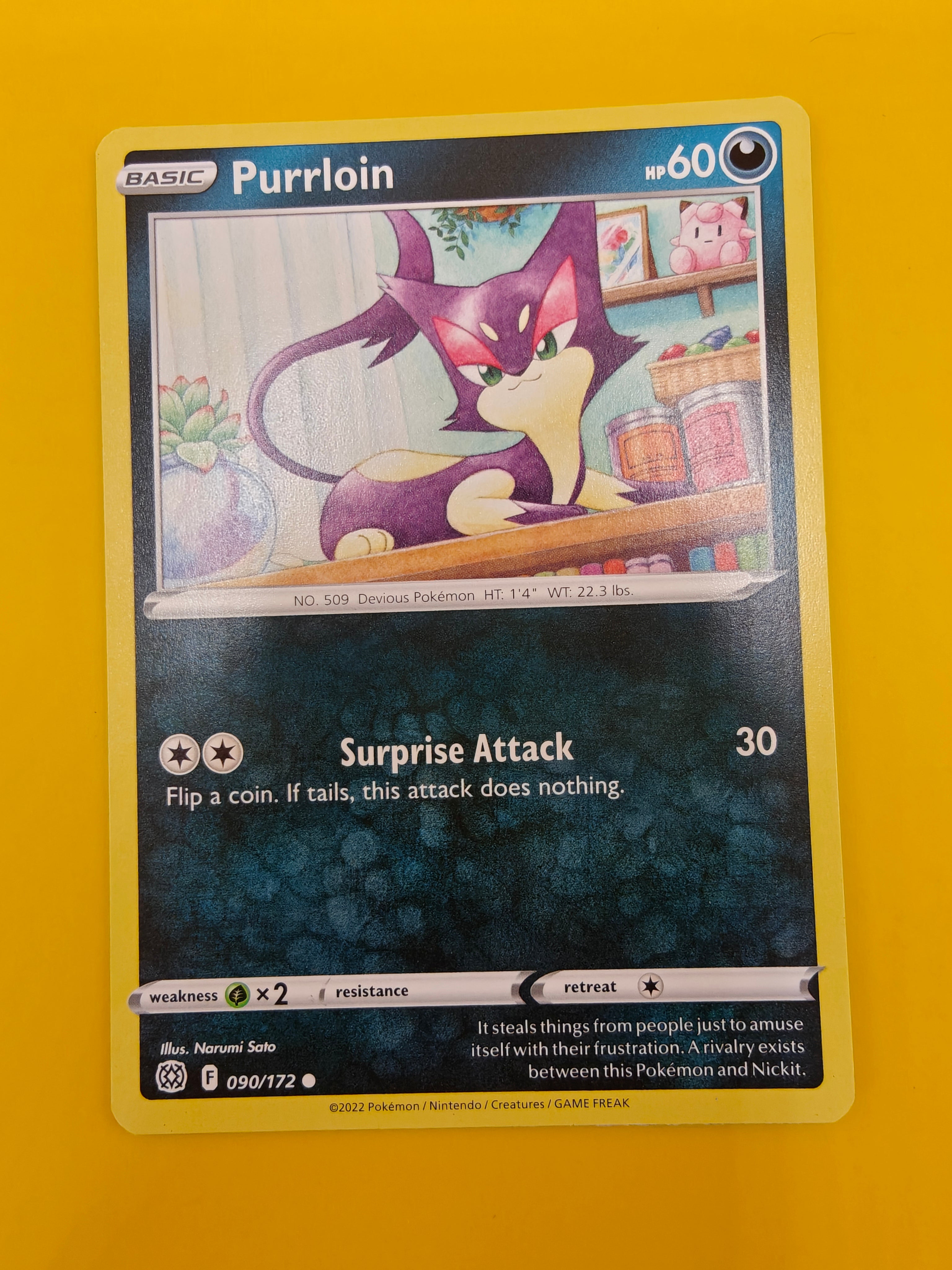 Purrloin - Brilliant Stars
