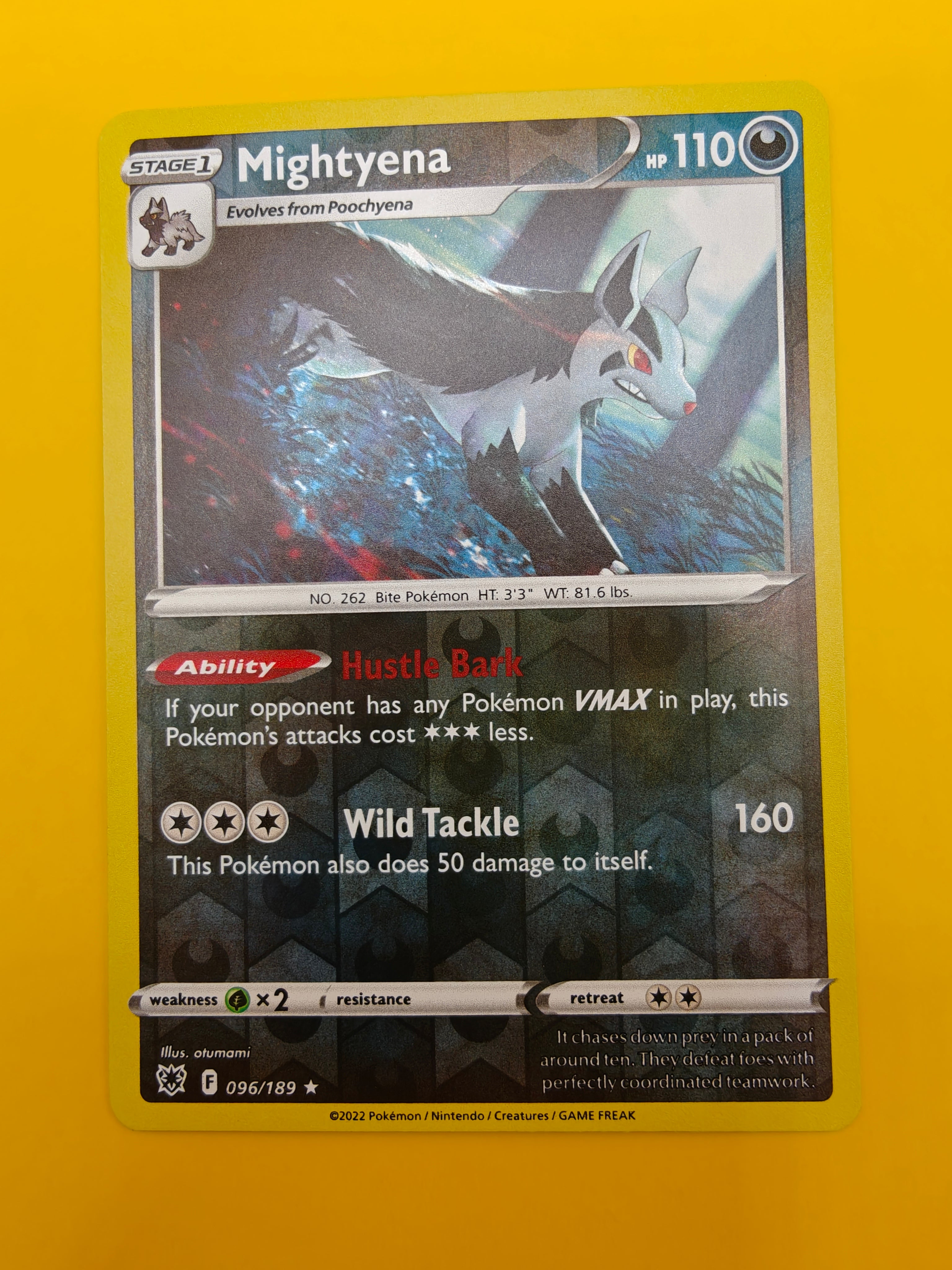 Mightyena Reverse Holo - Astral Radiance