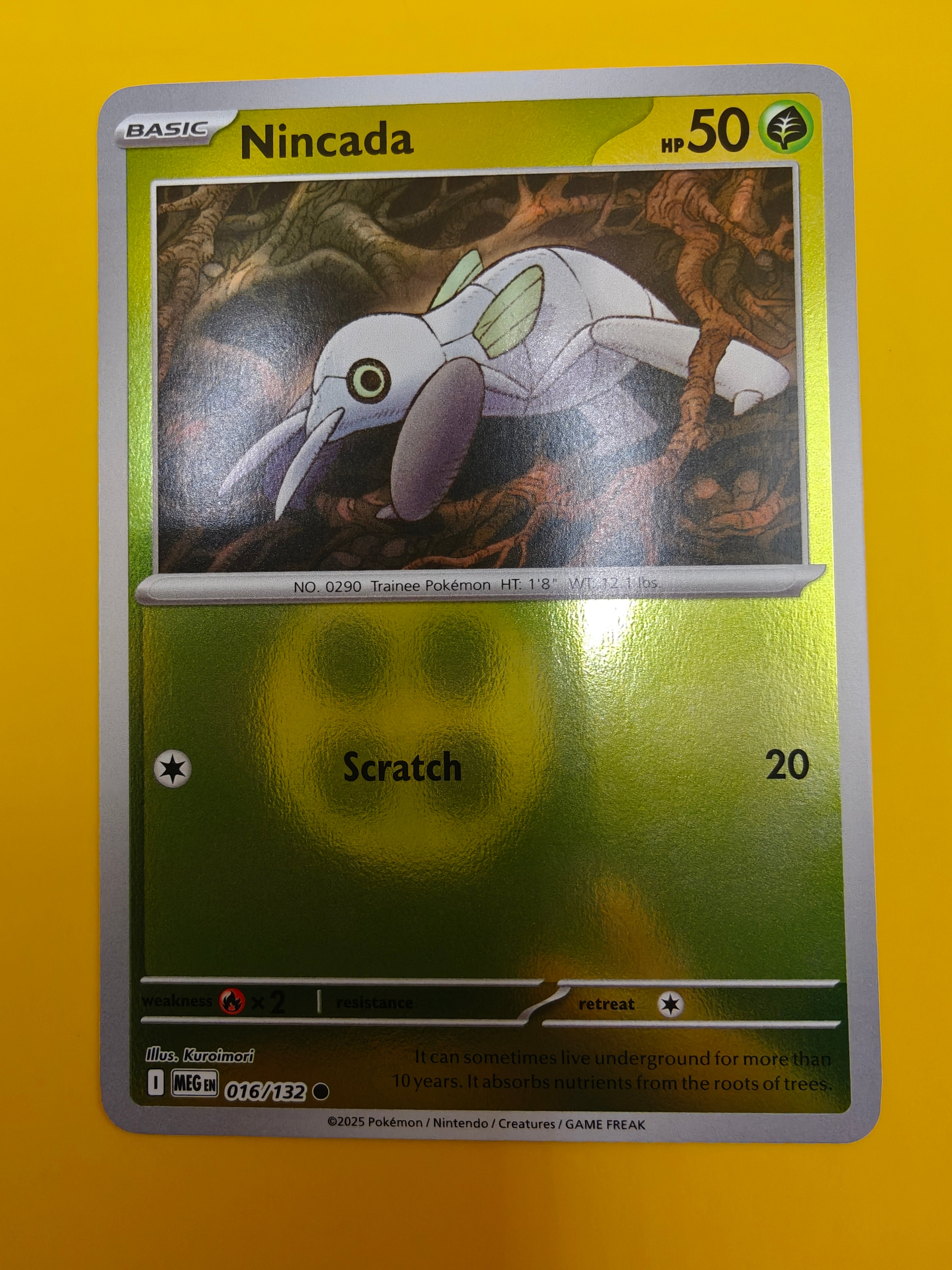 Nincada Reverse Holo - Mega Evolution Base Set