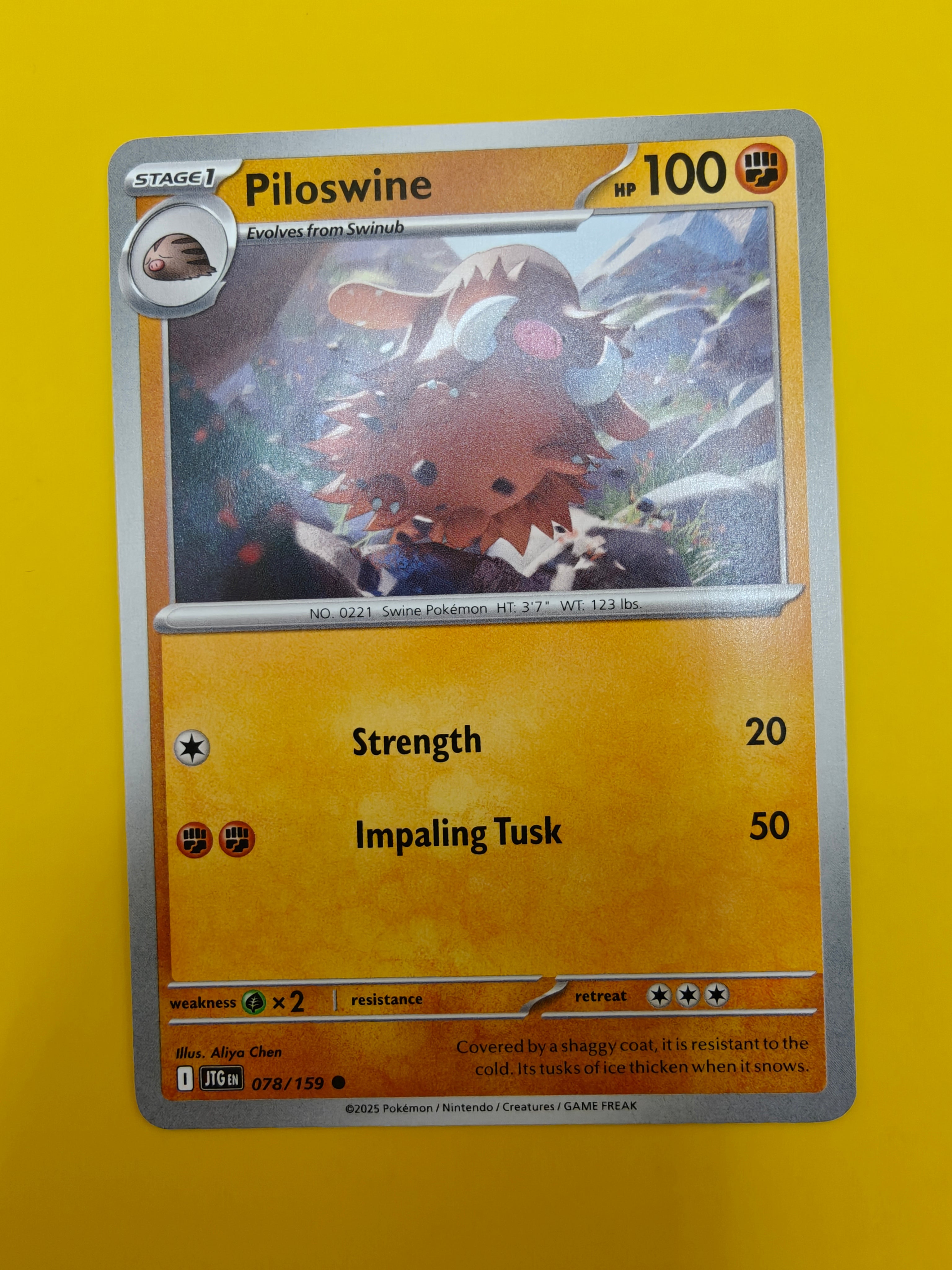 Piloswine - Journey Together