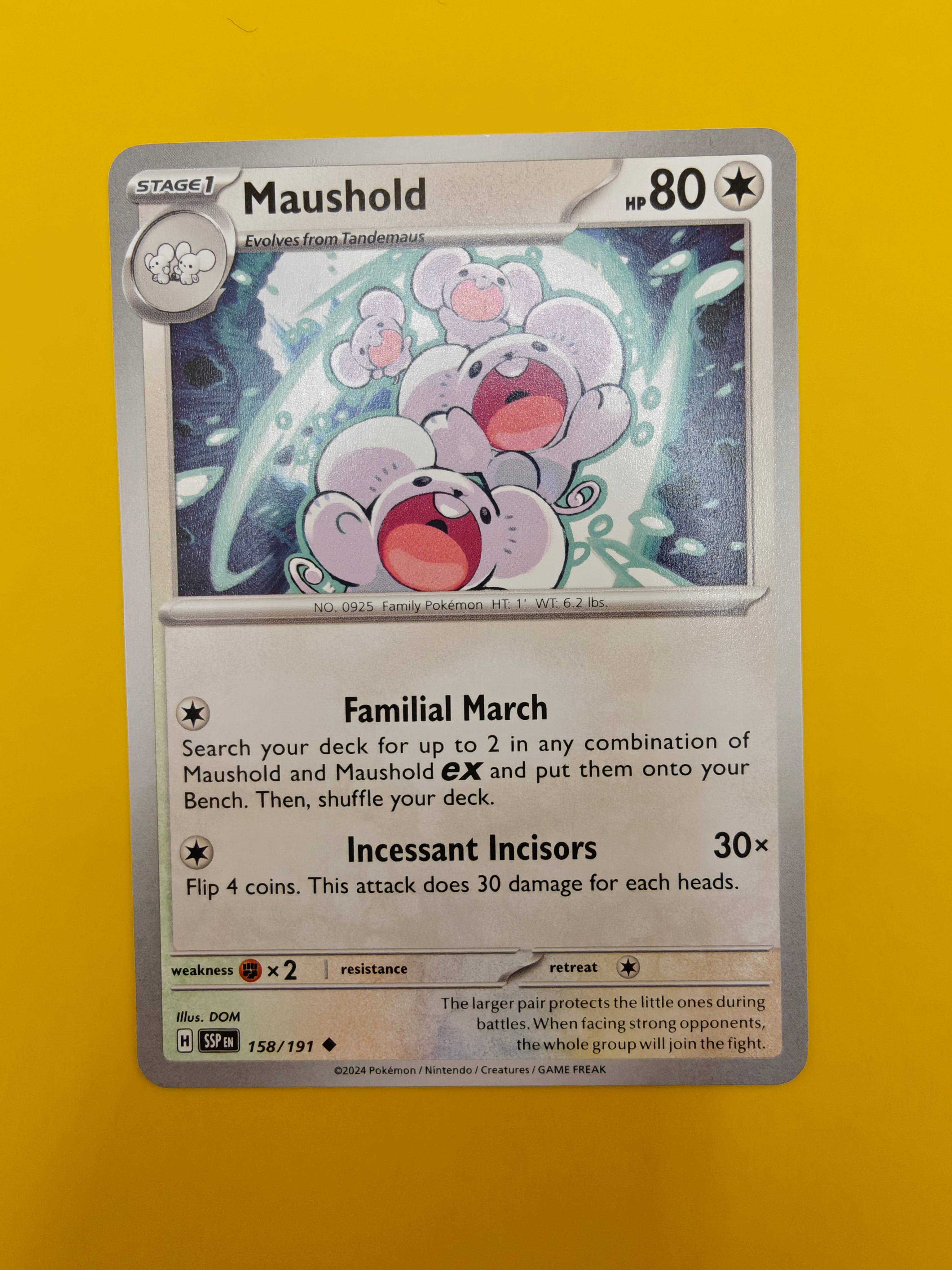 Maushold - Surging Sparks
