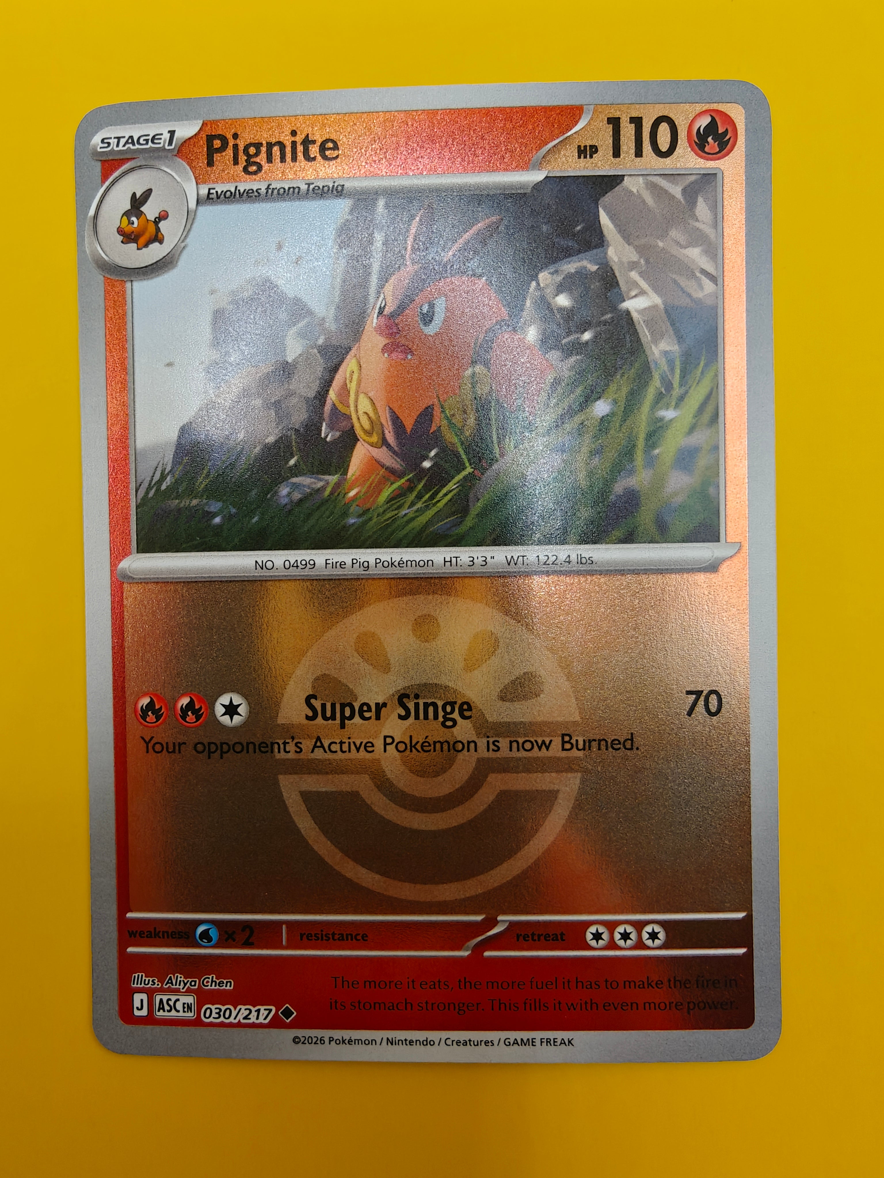 Pignite Poké Ball - Ascended Heroes