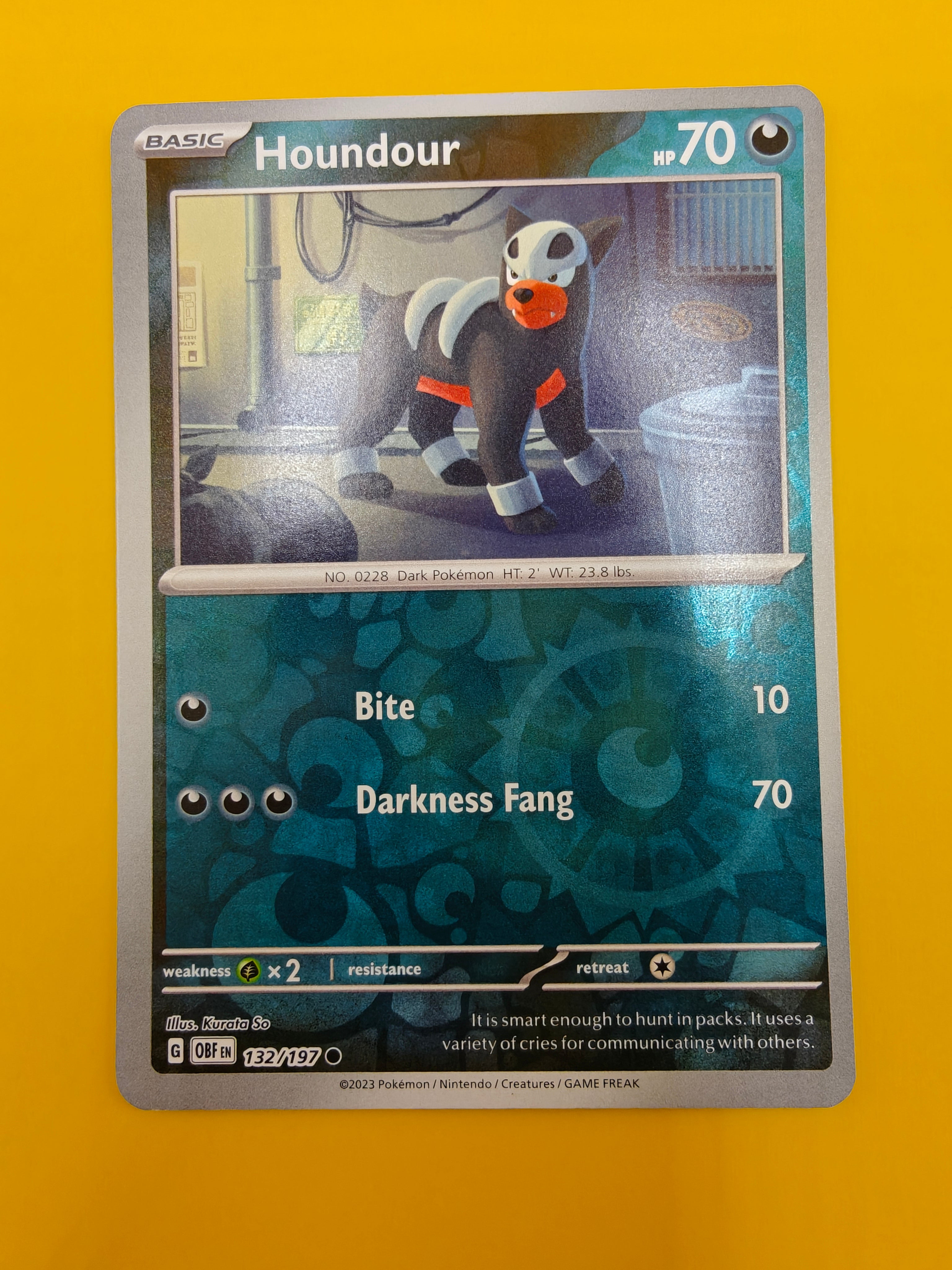 Houndour Reverse Holo - Obsidian Flames