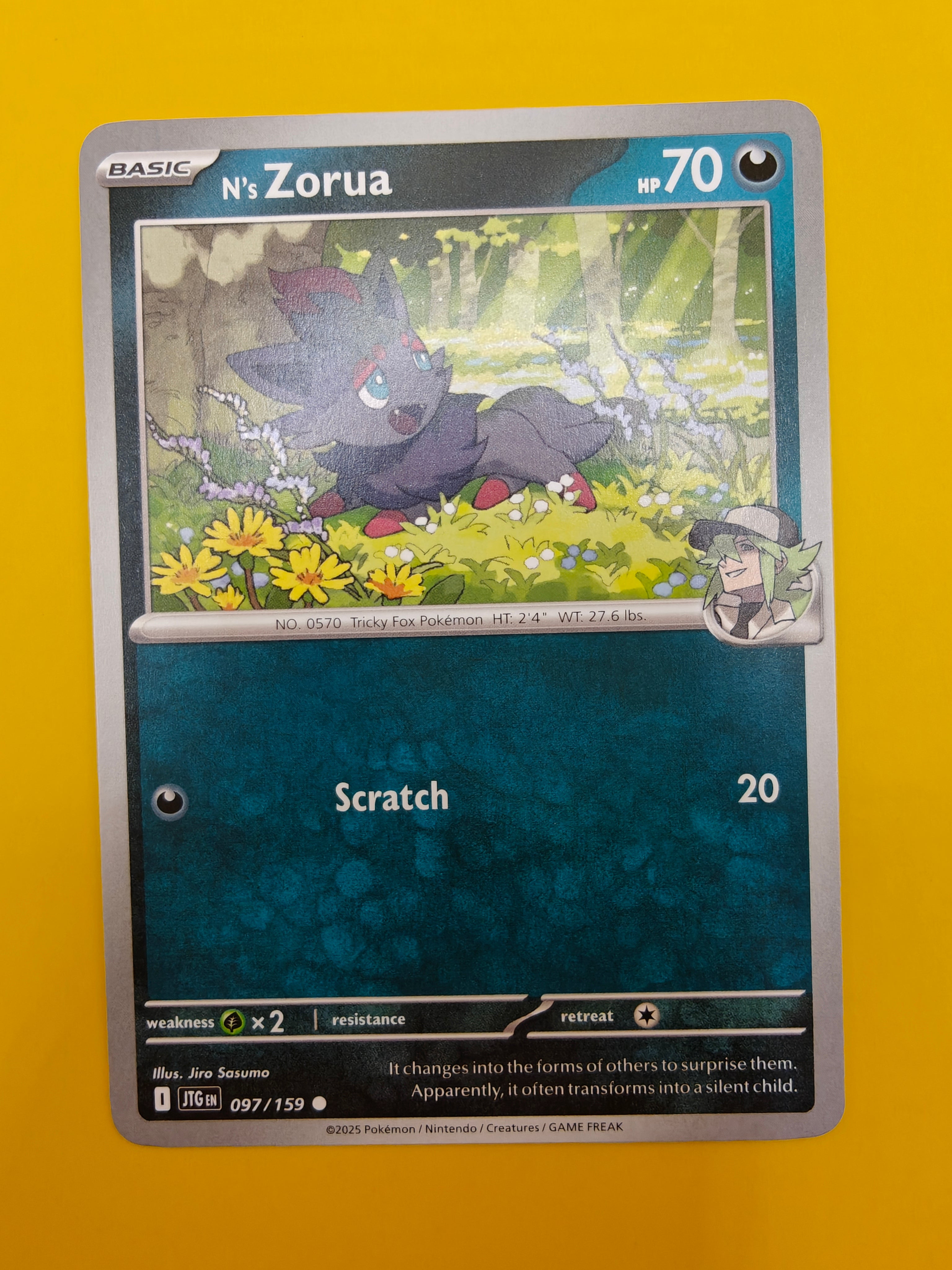 N's Zorua - Journey Together