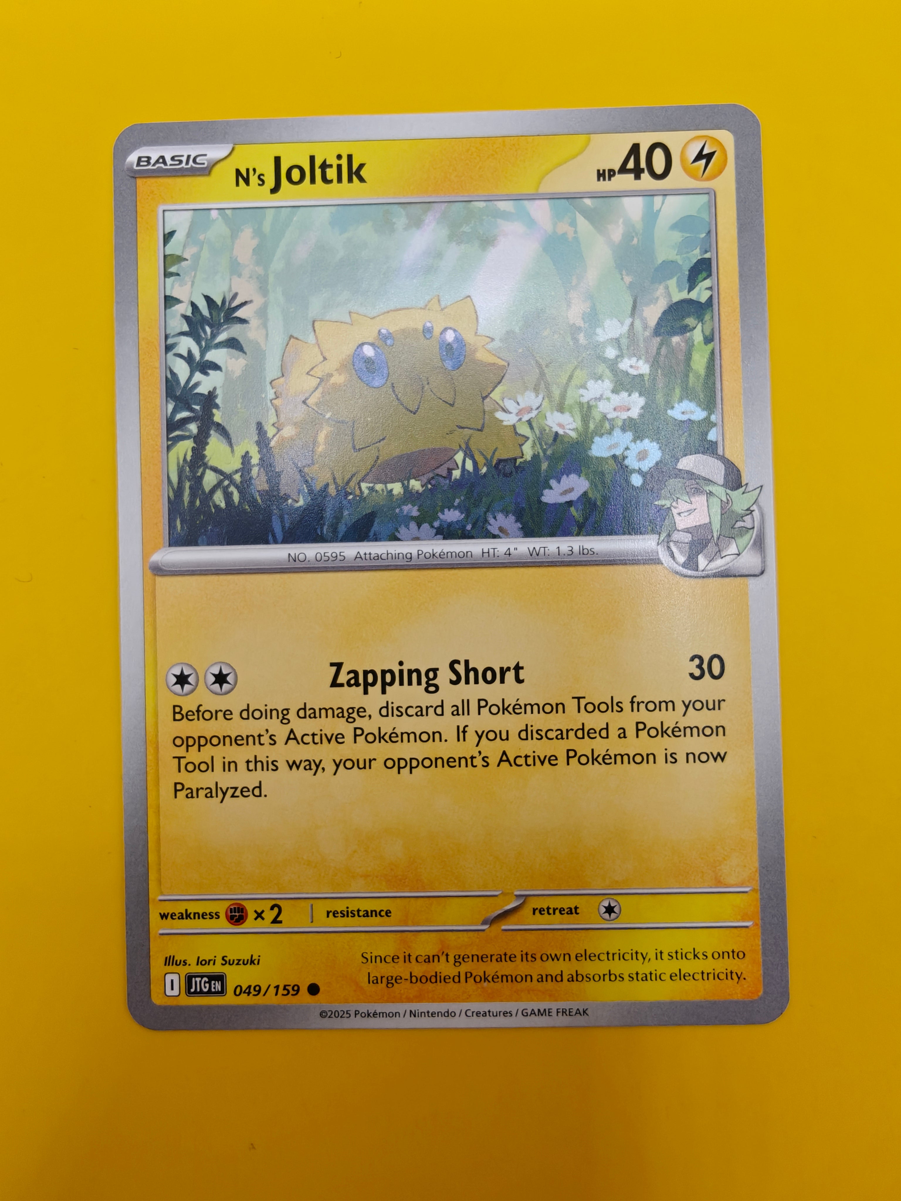 N's Joltik - Journey Together