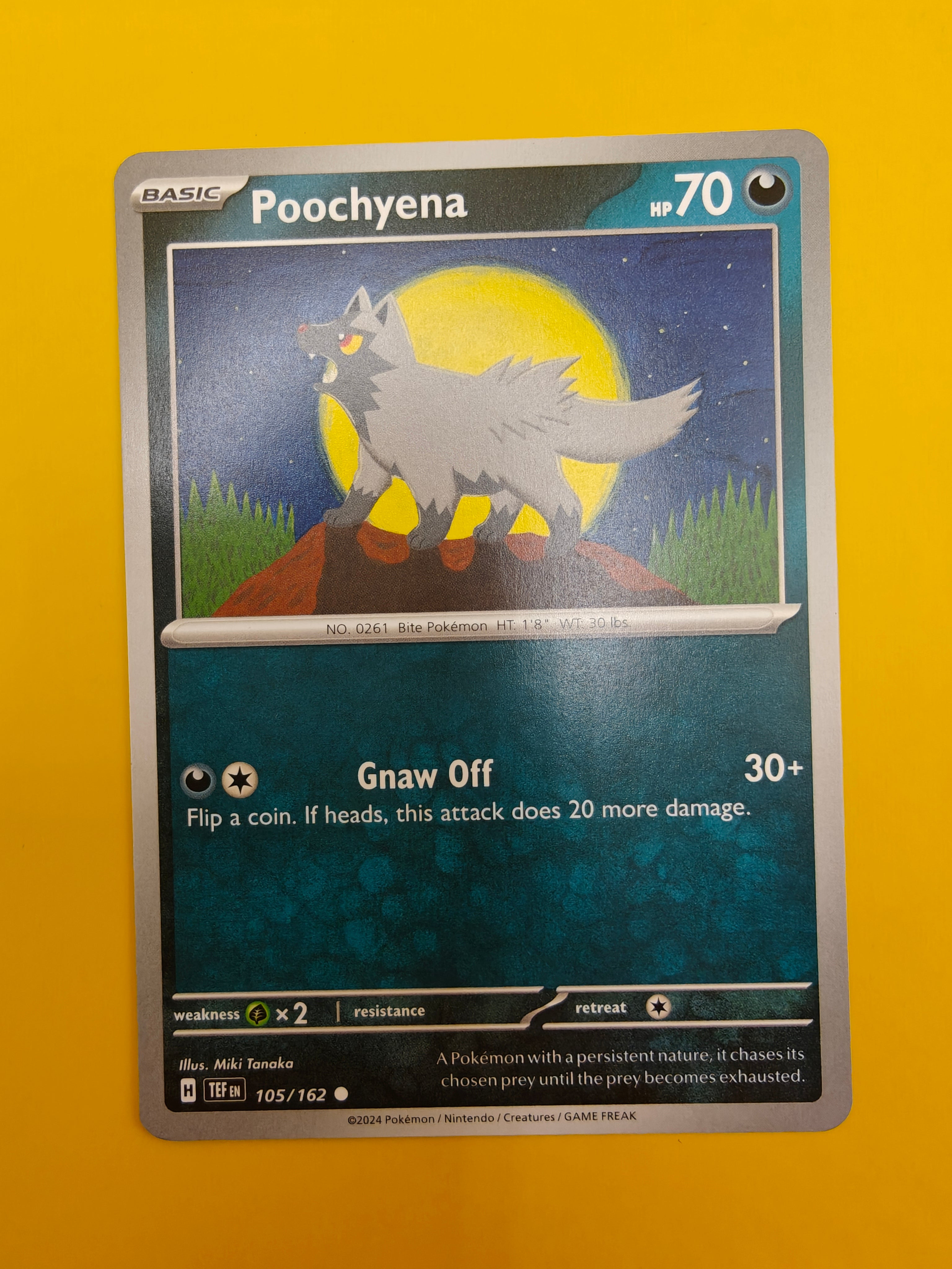 Poochyena - Temporal Forces