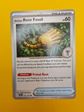 Antique Root Fossil - Stellar Crown
