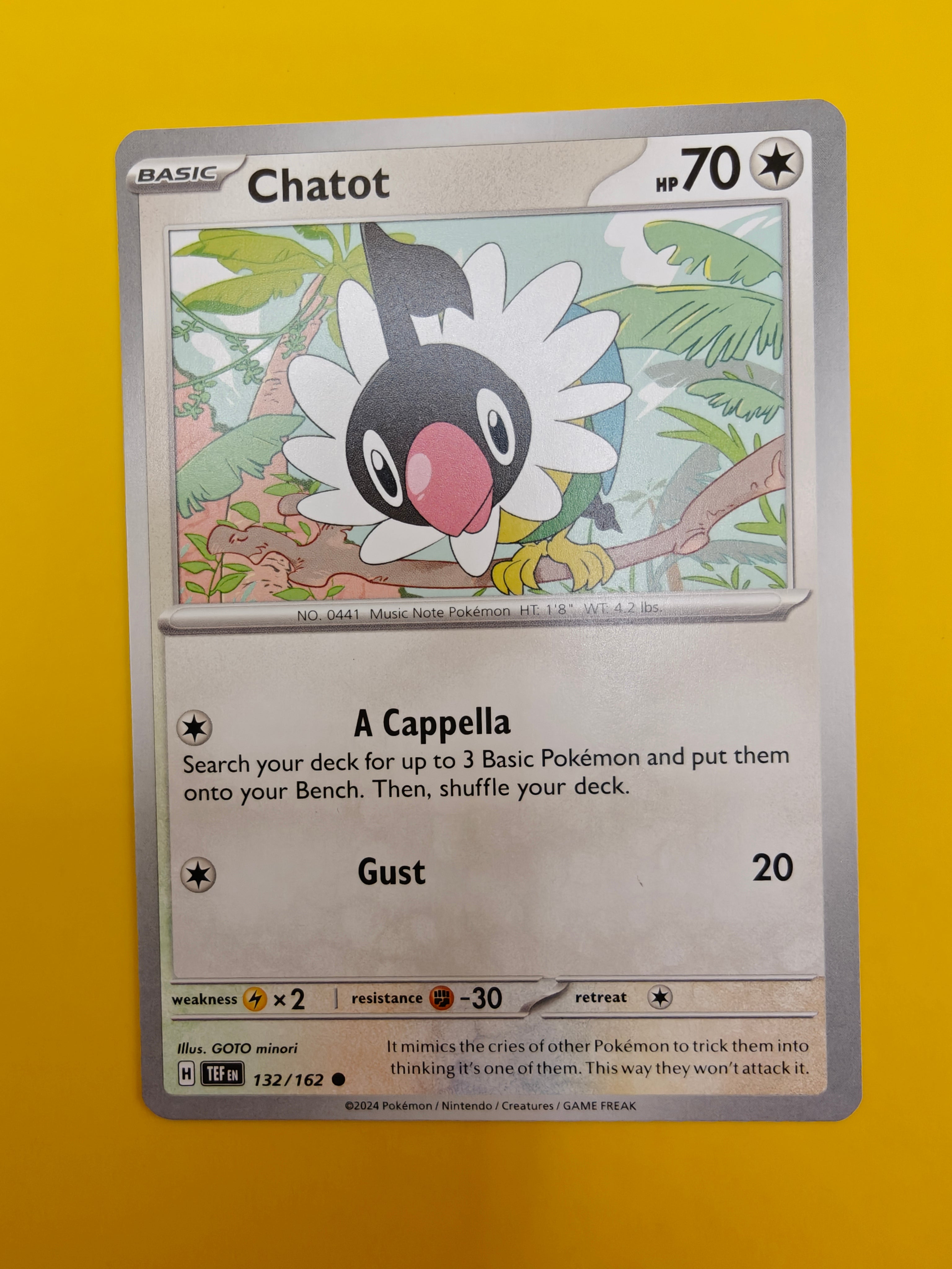 Chatot - Temporal Forces
