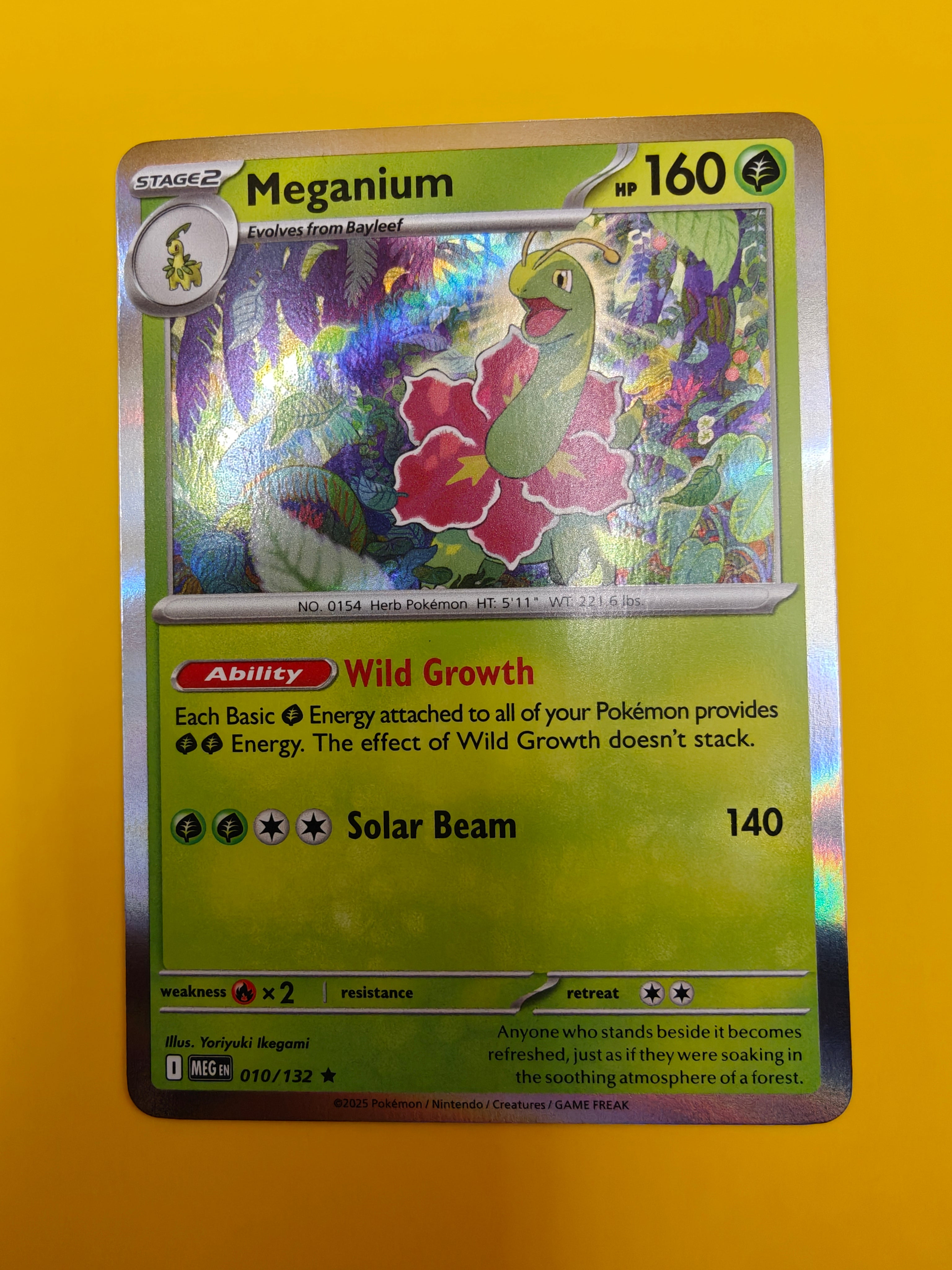 Meganium Holo - Mega Evolution Base Set