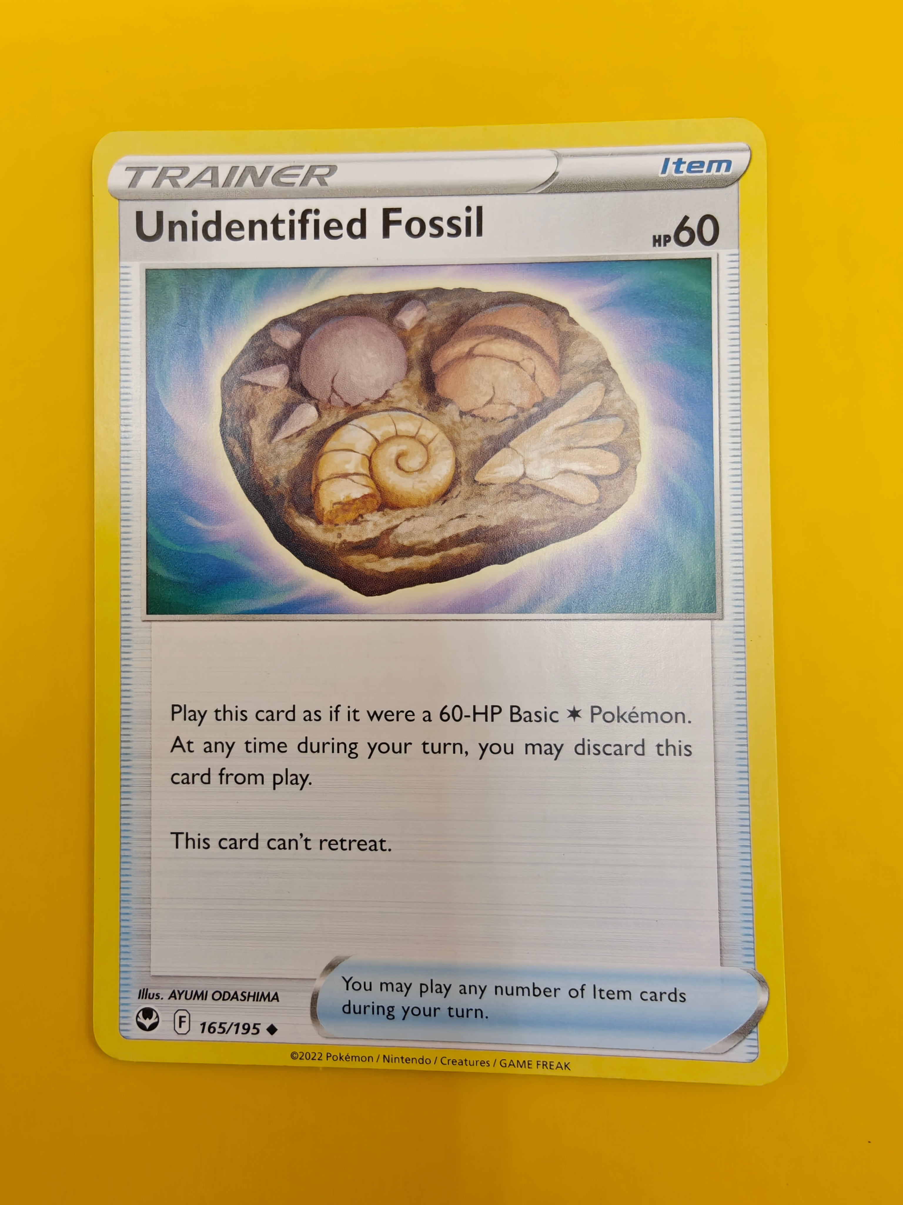 Unidentified Fossil - Silver Tempest