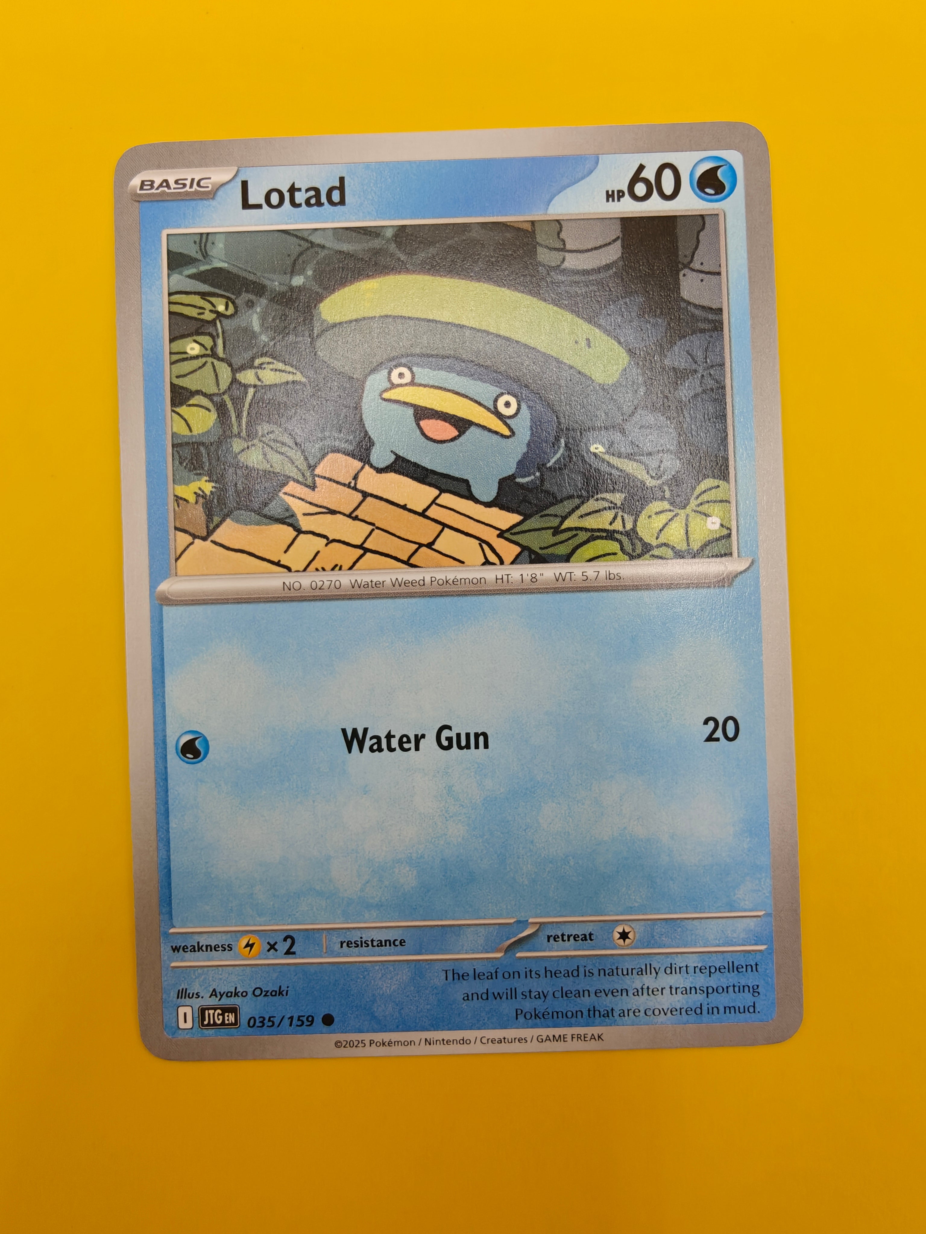 Lotad - Journey Together
