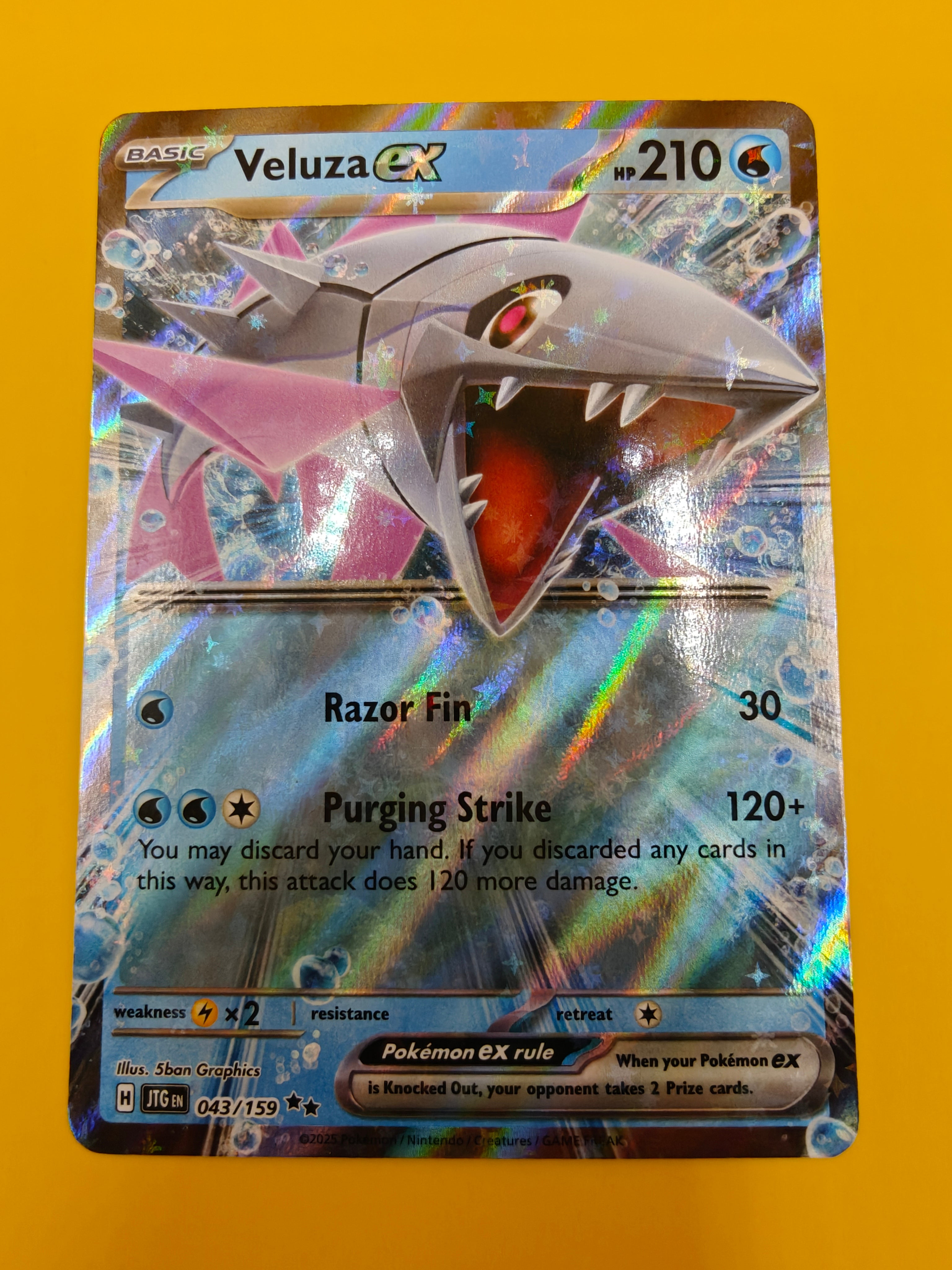 Veluza ex - Journey Together